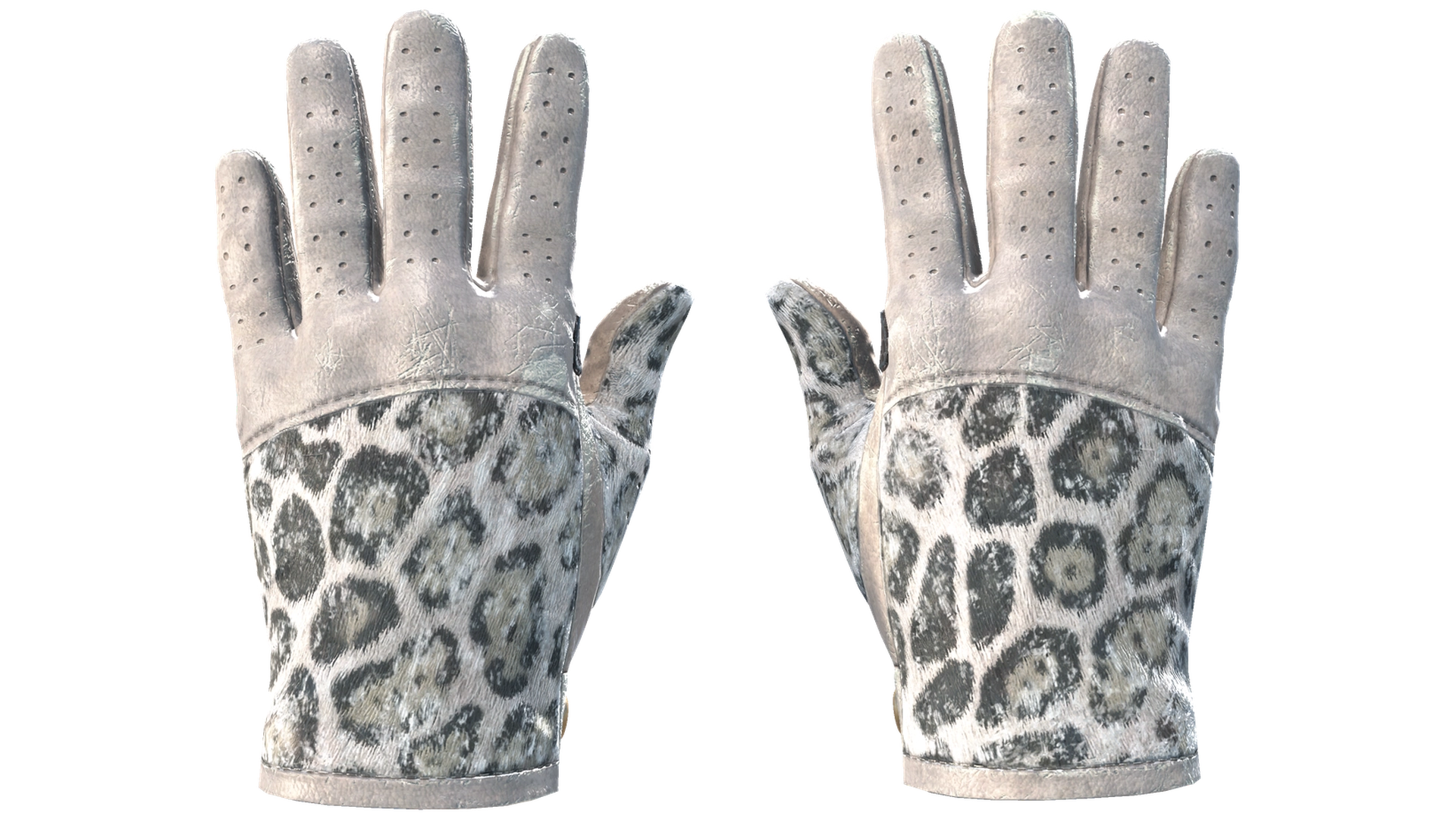 Snow Leopard image