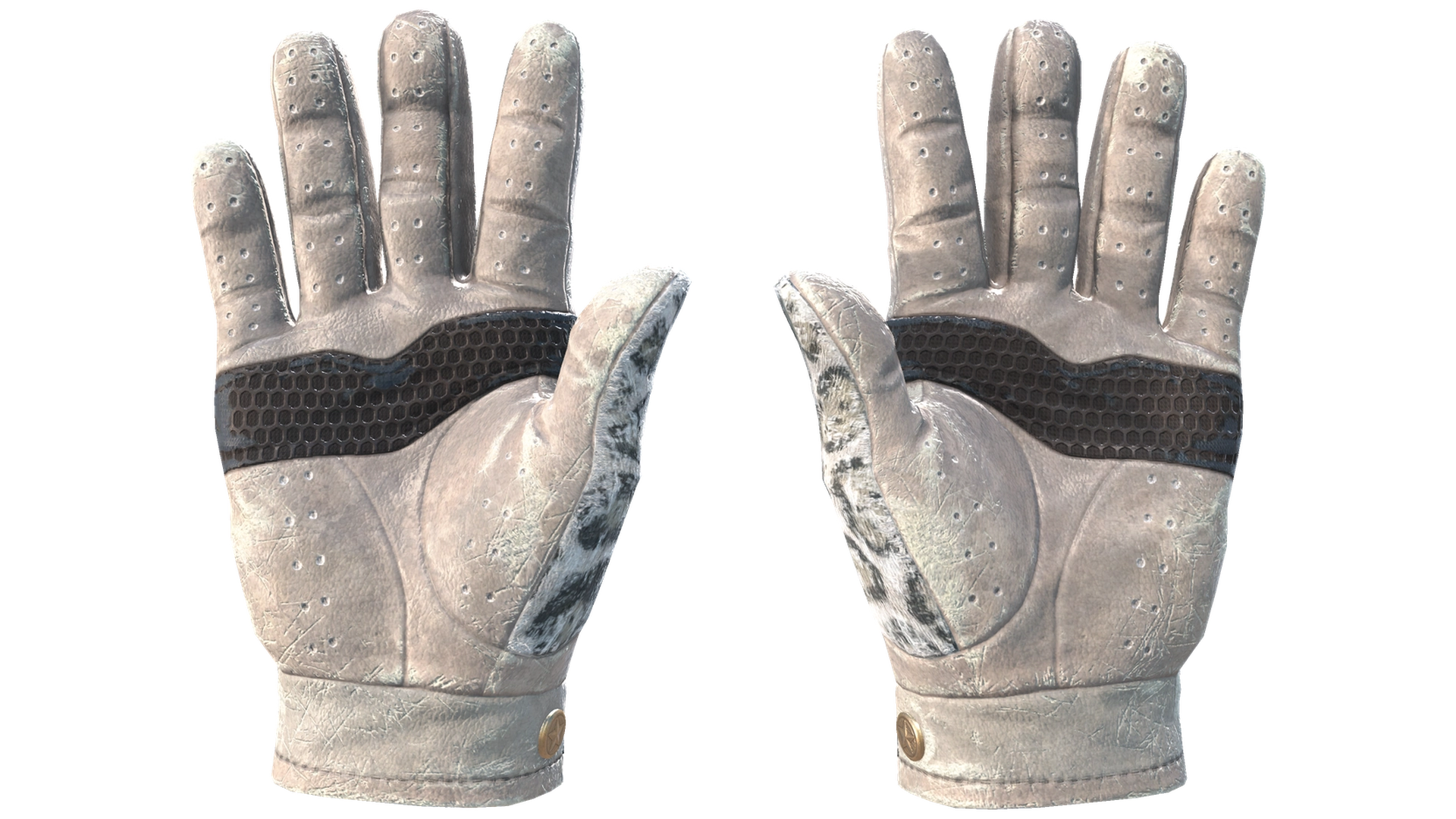 Snow Leopard image