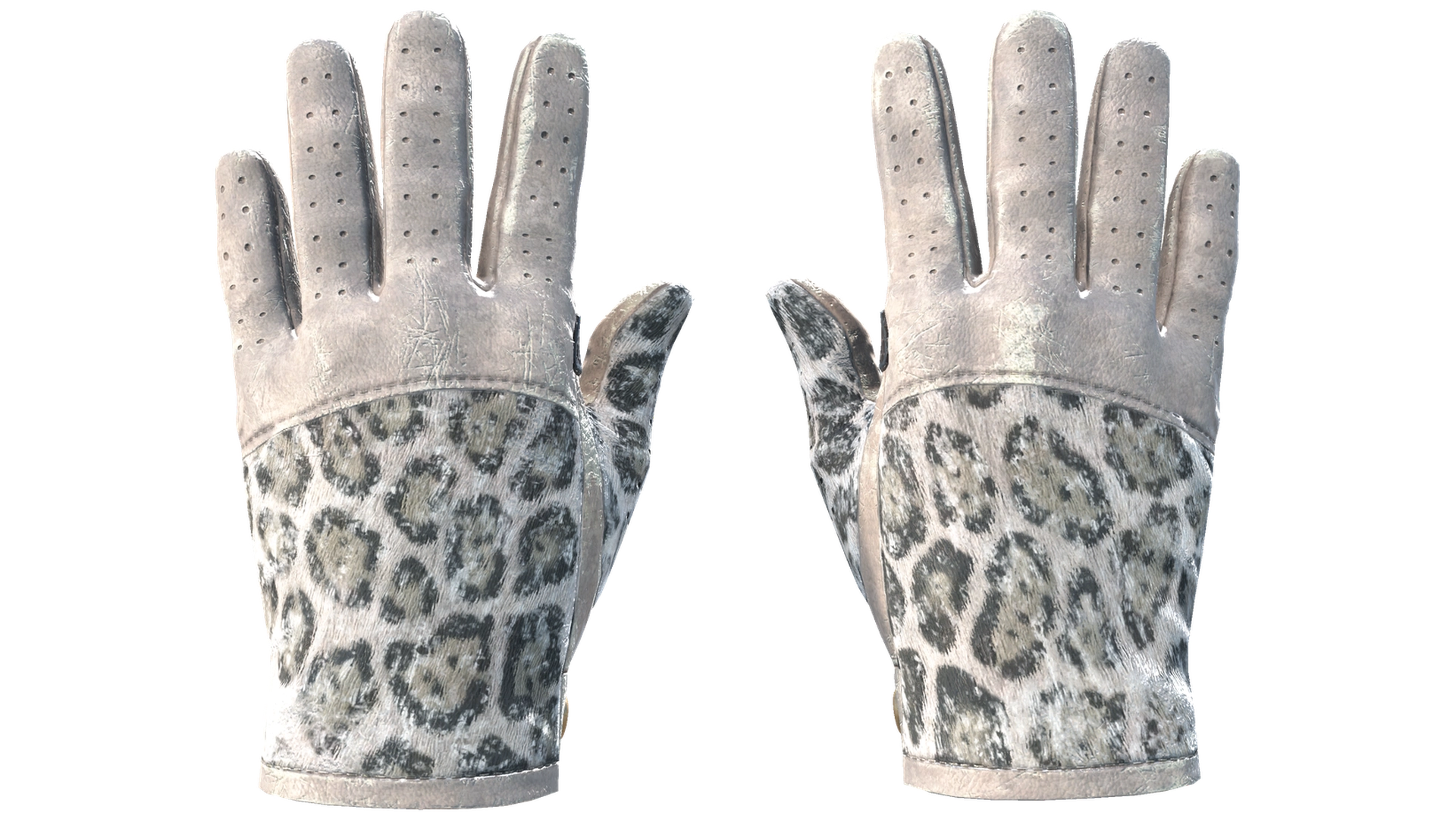Snow Leopard image