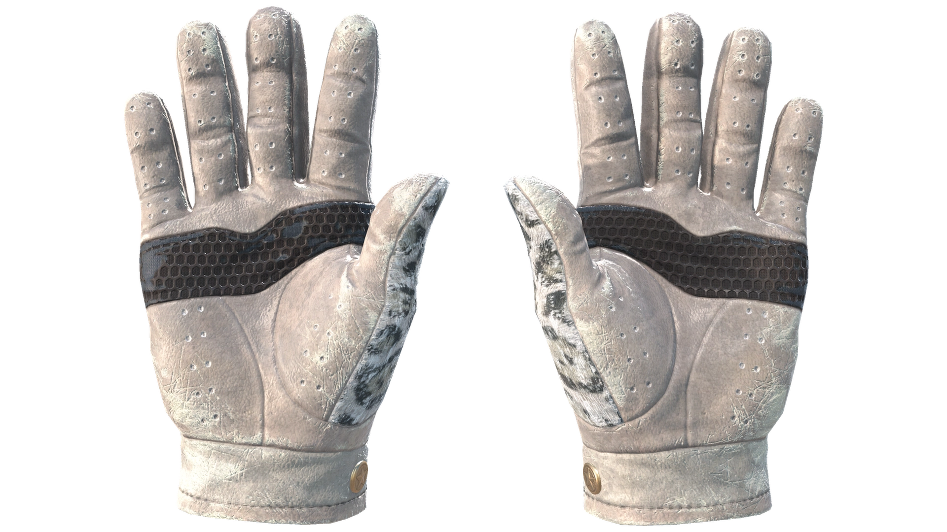 Snow Leopard image