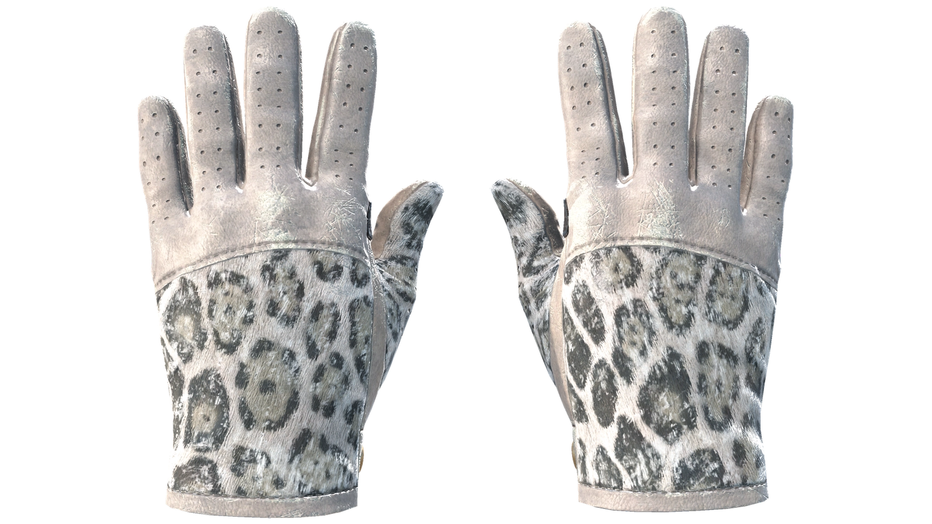 Snow Leopard image