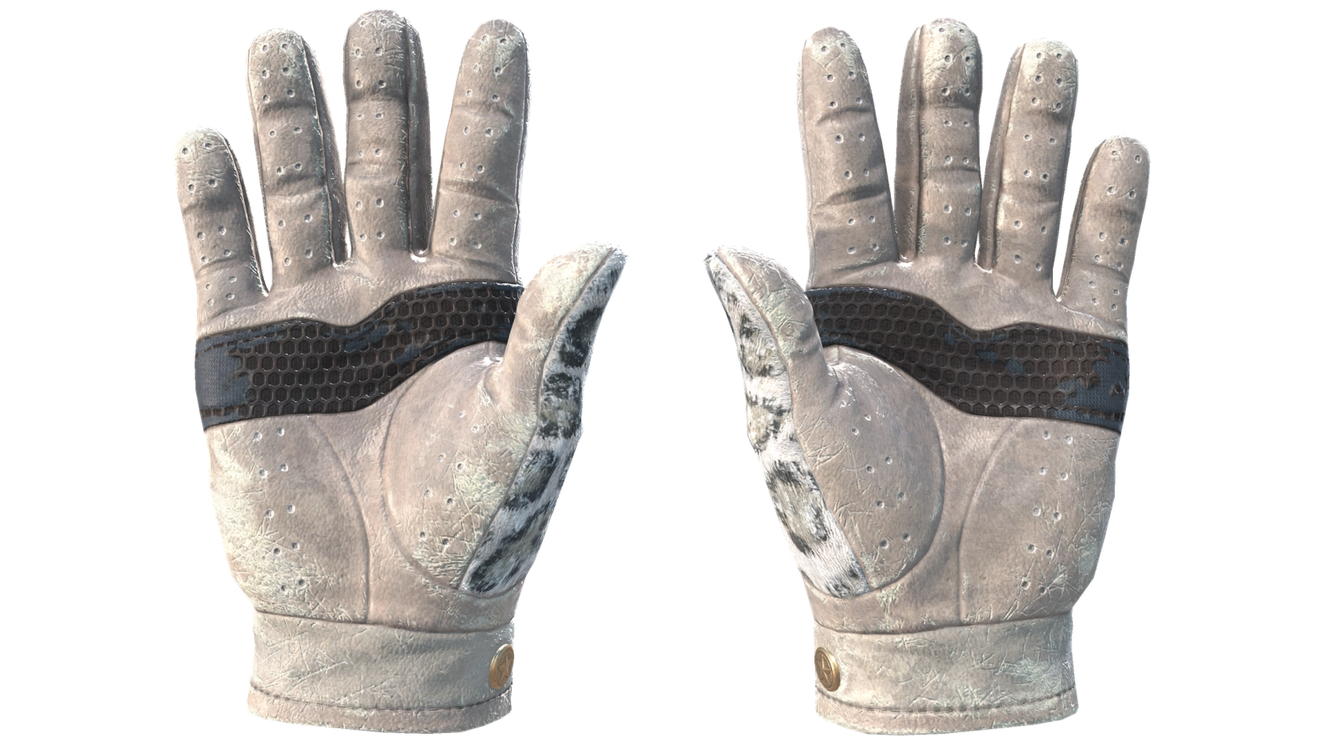 Snow Leopard image