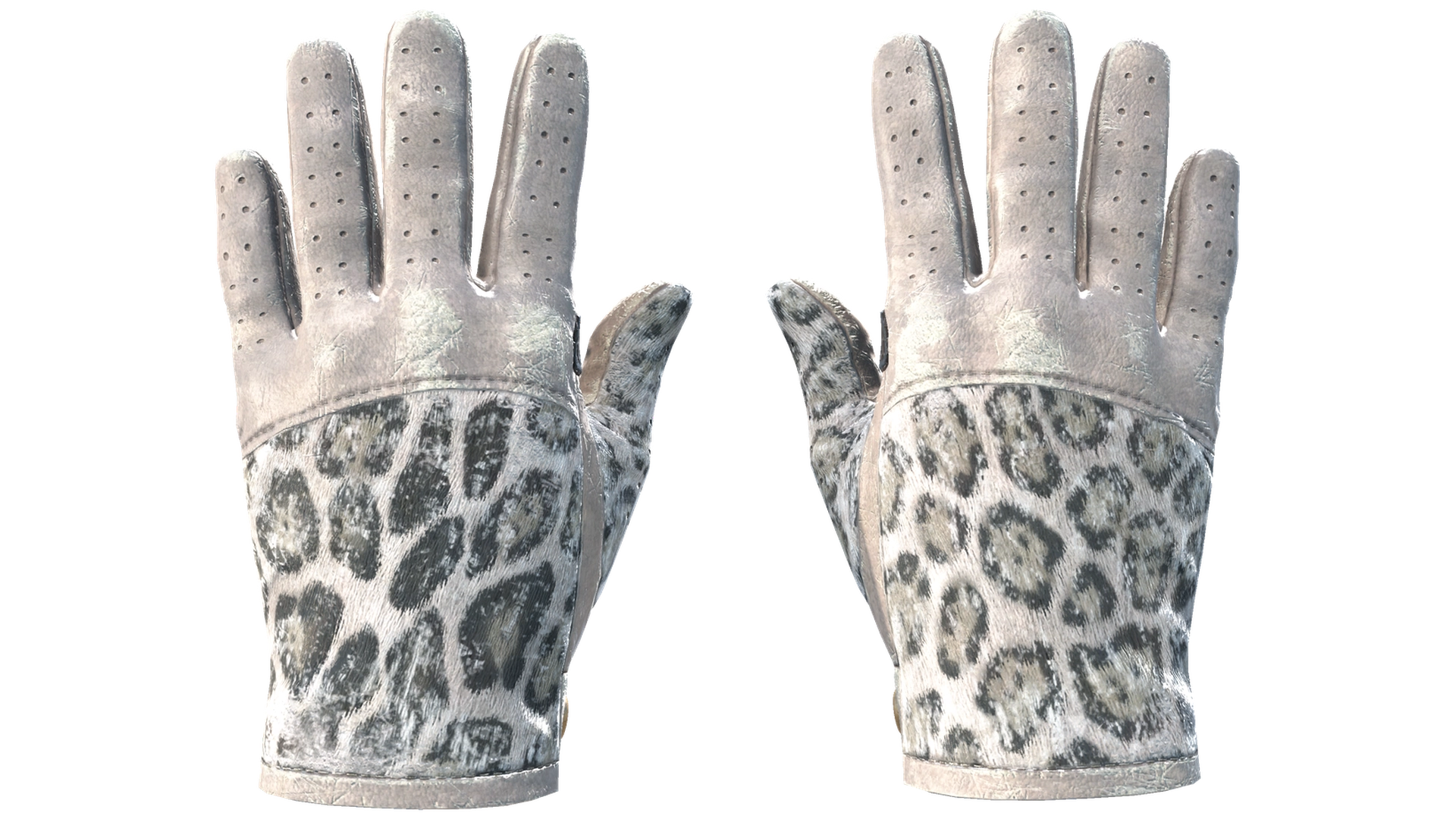 Snow Leopard image