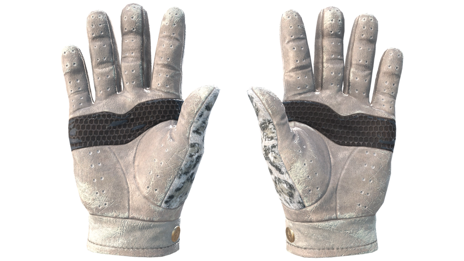 Snow Leopard image