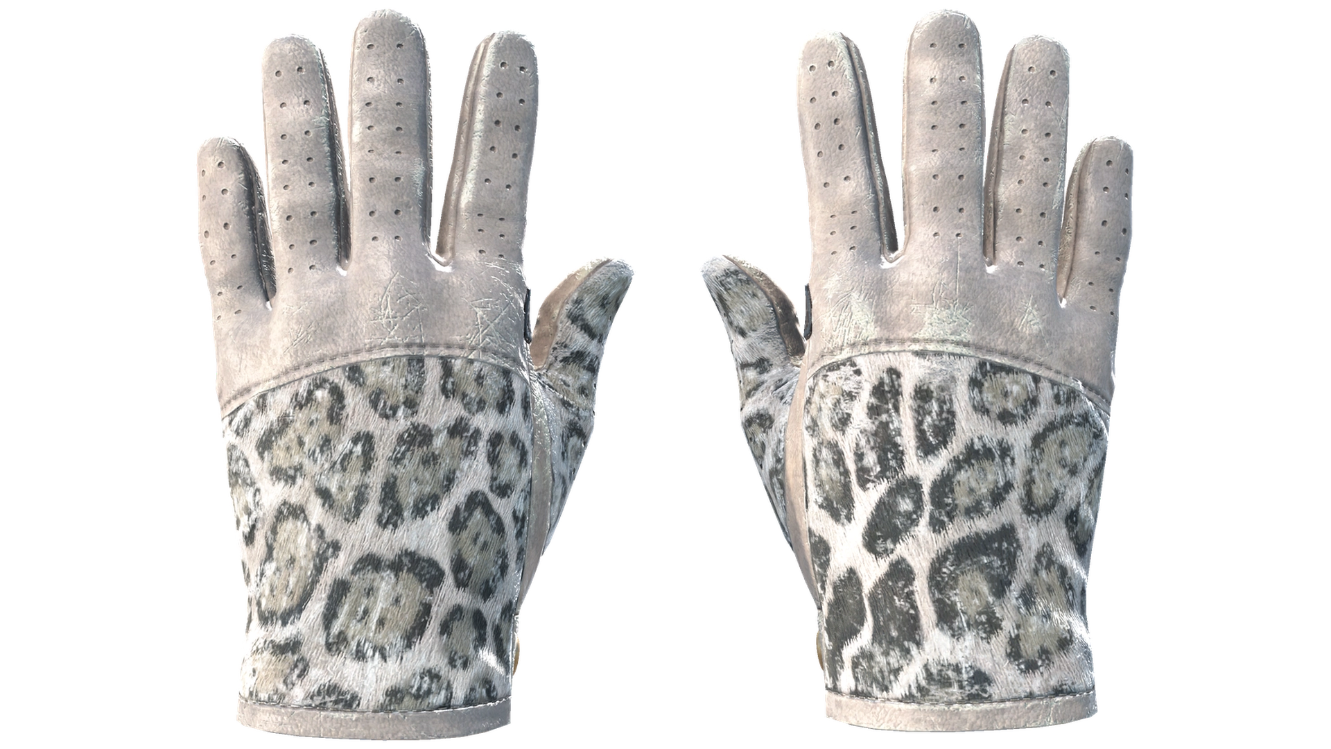 Snow Leopard image