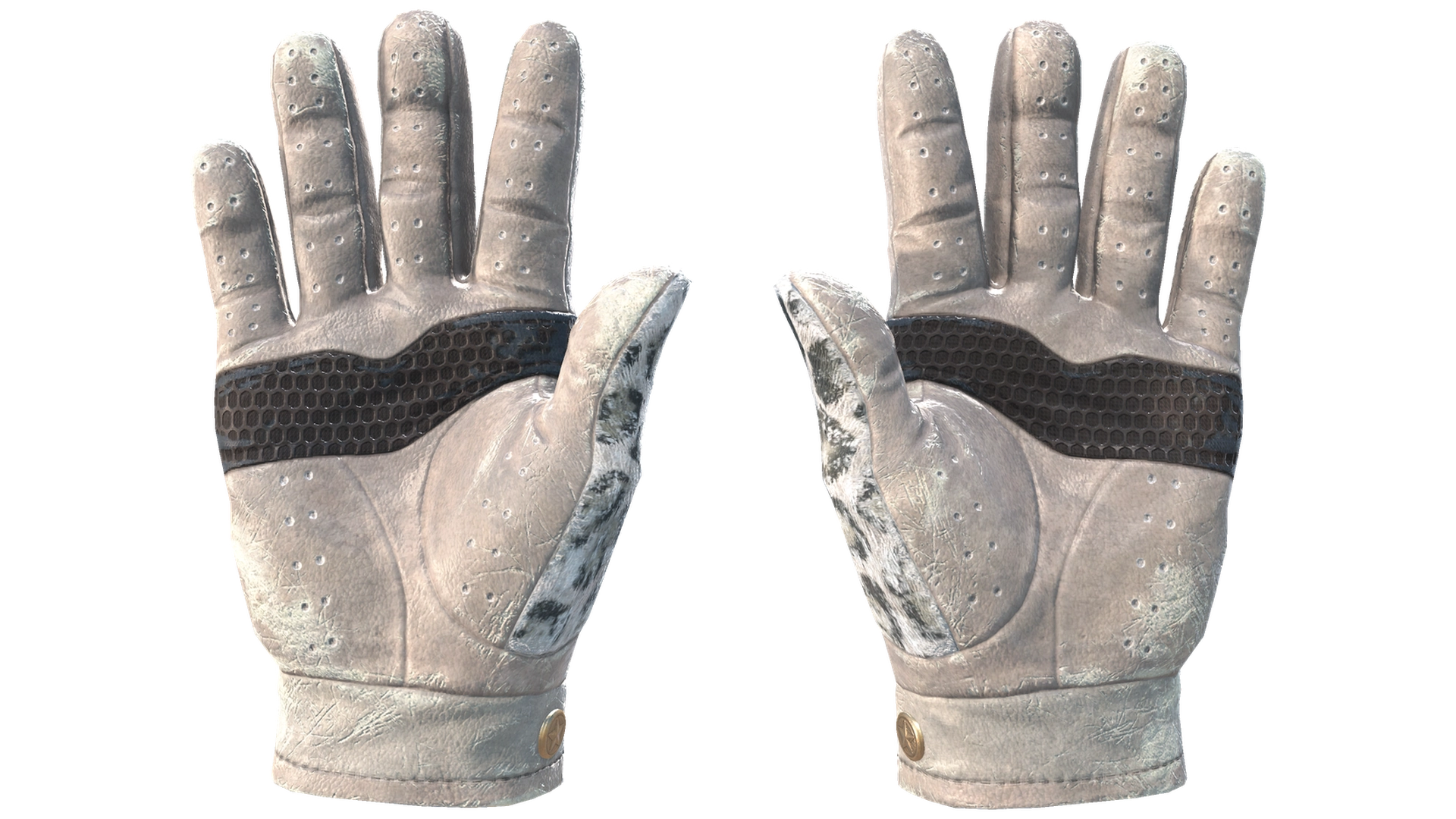 Snow Leopard image