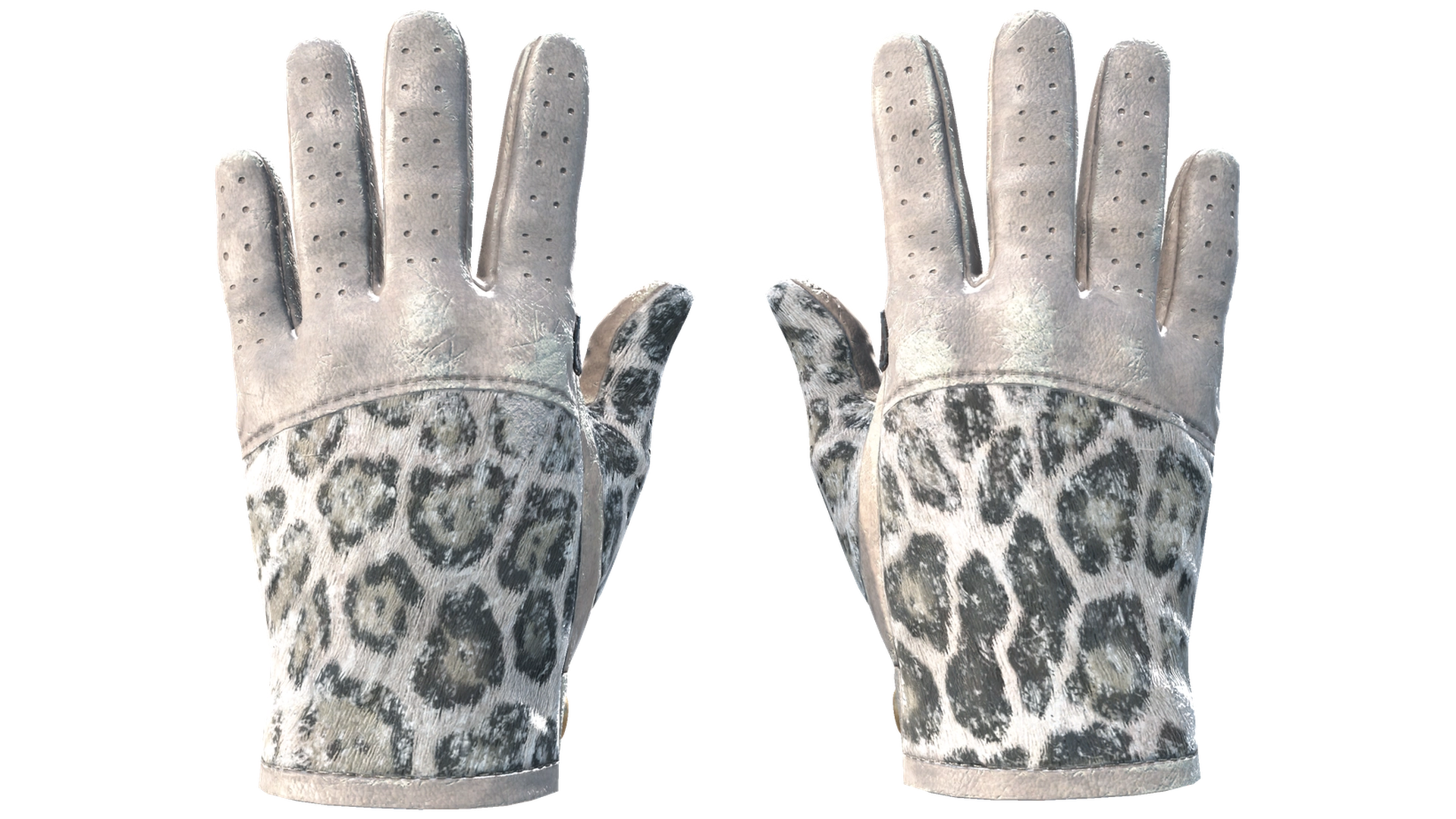 Snow Leopard image