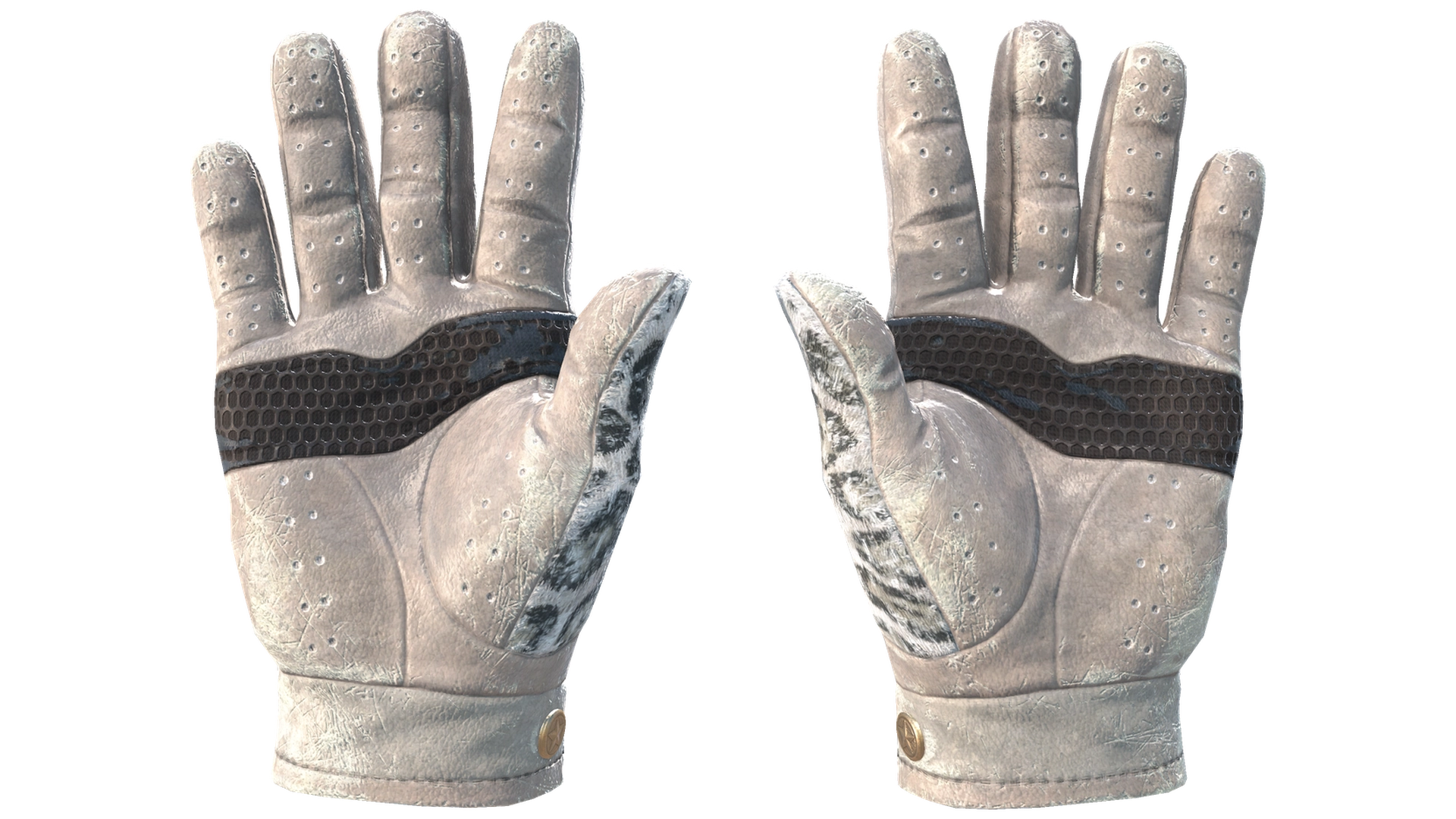 Snow Leopard image