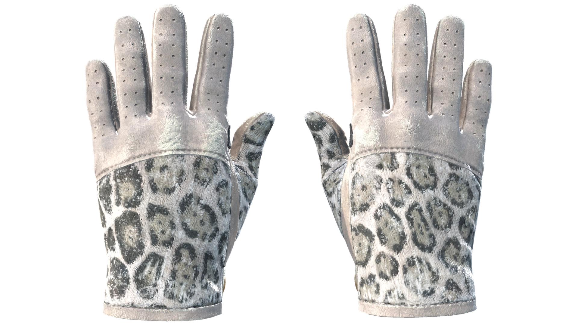 Snow Leopard image