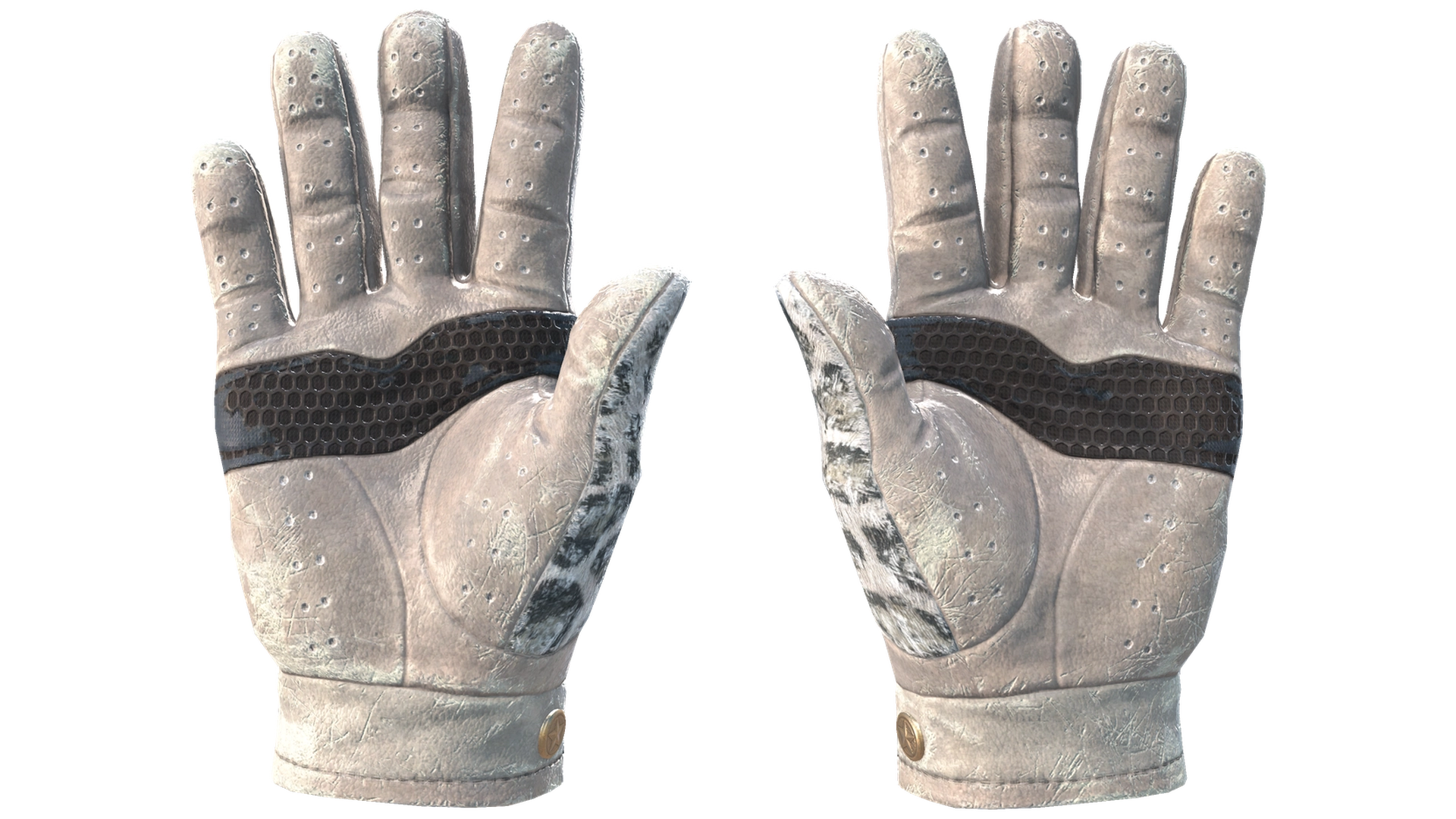 Snow Leopard image