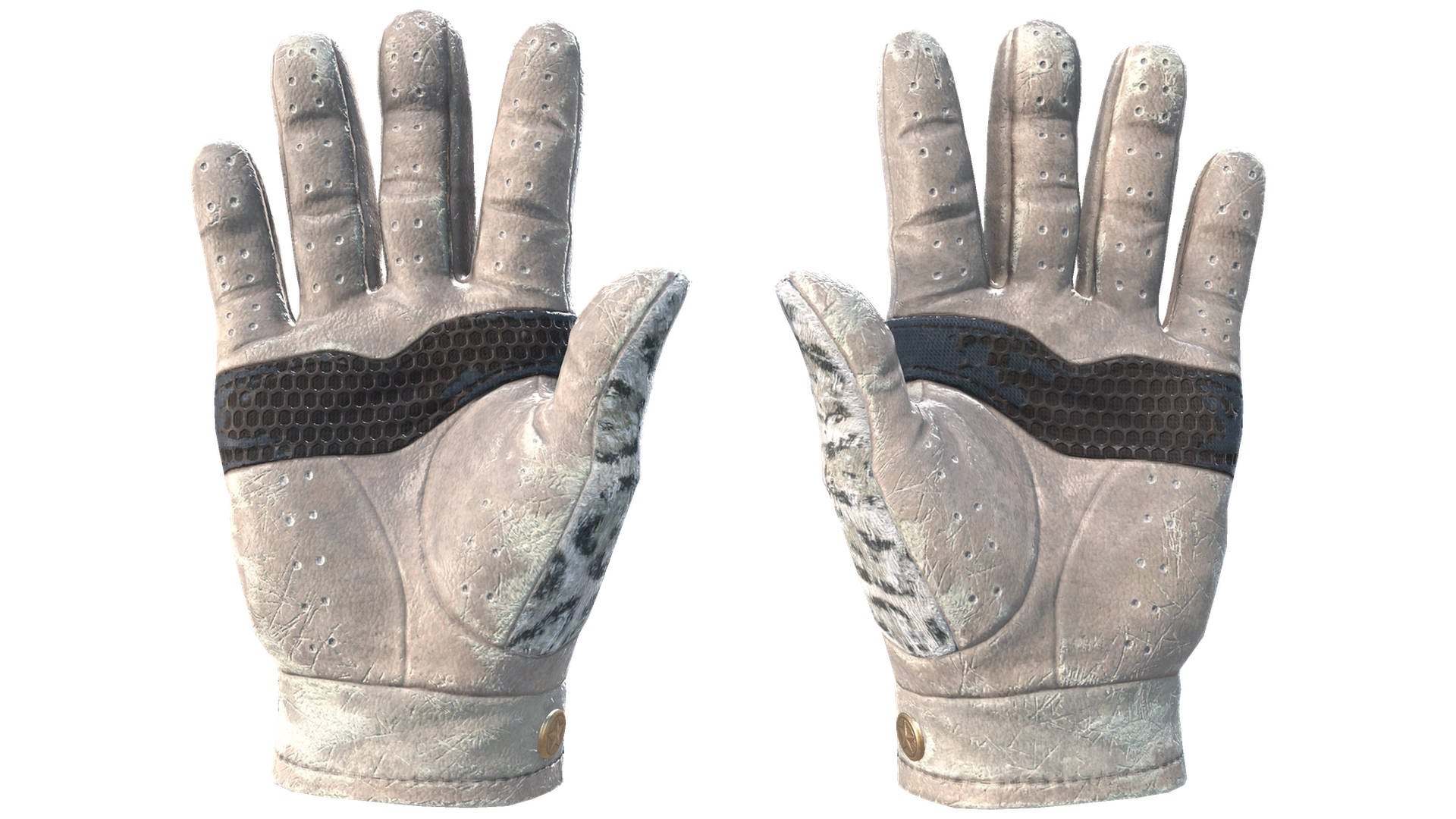 Snow Leopard image