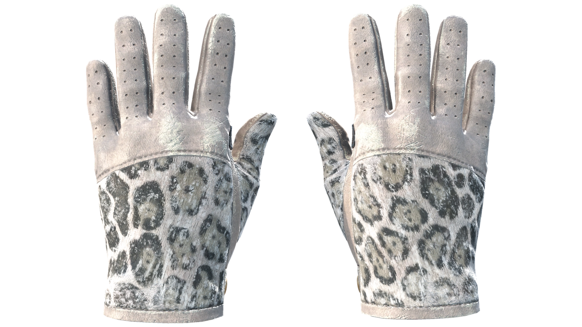 Snow Leopard image