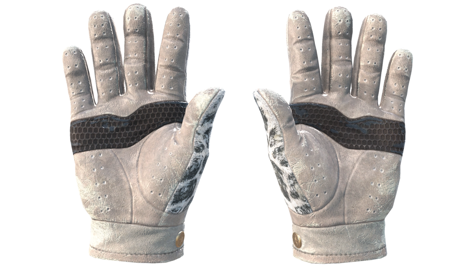 Snow Leopard image