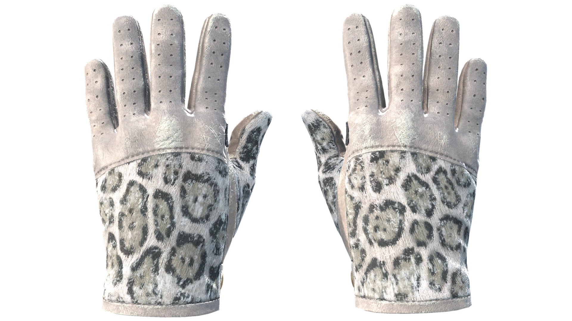 Snow Leopard image