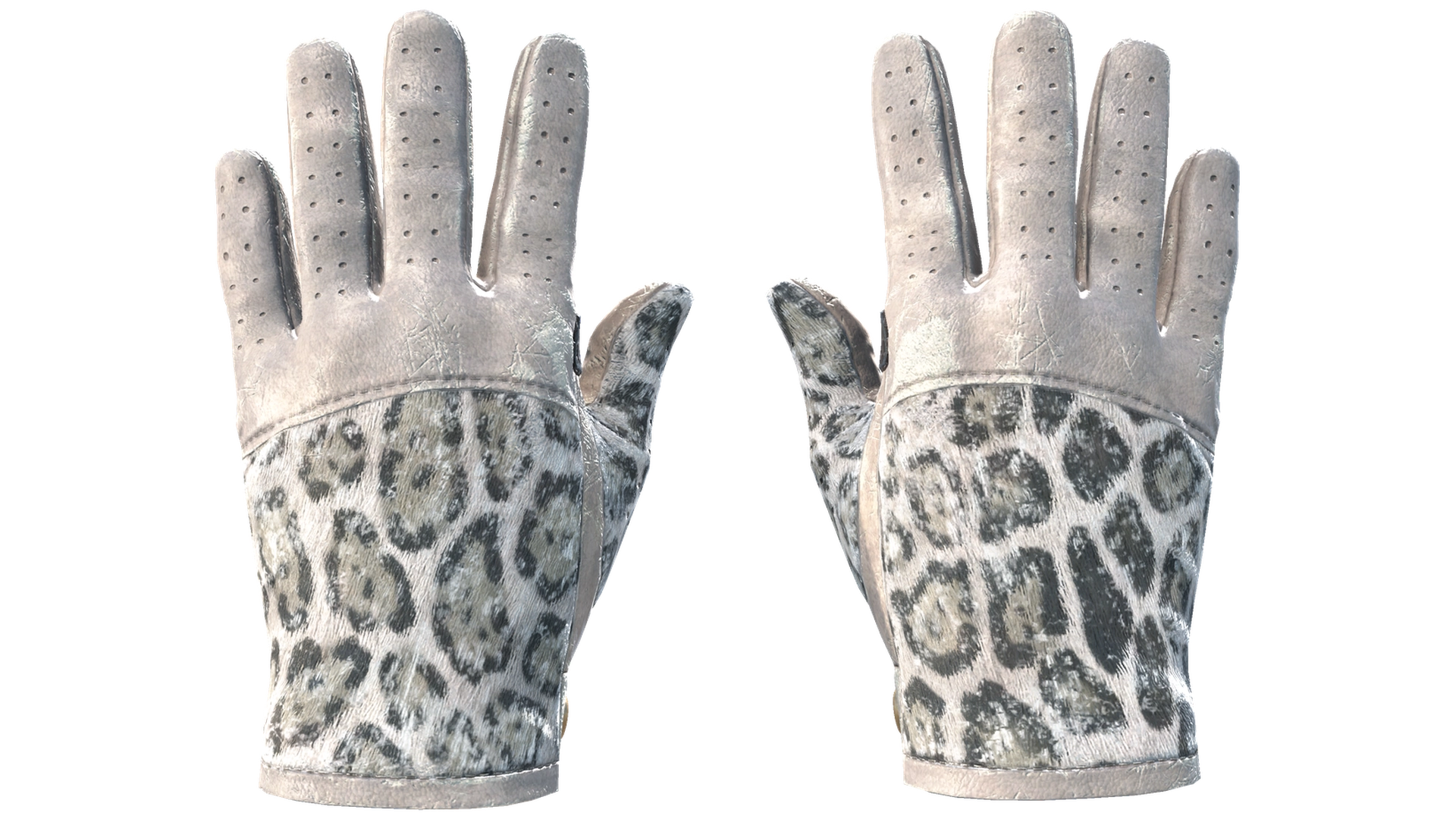 Snow Leopard image