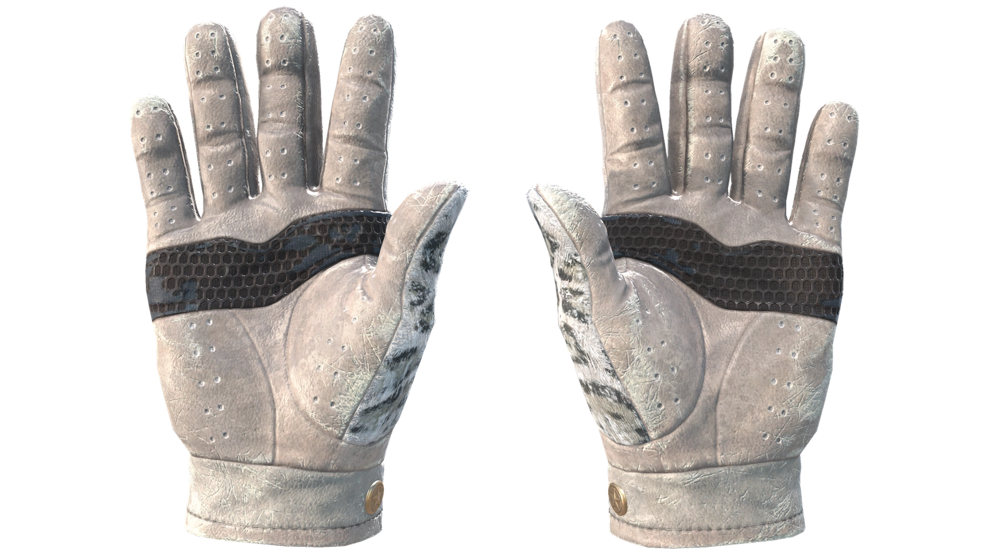 Snow Leopard image