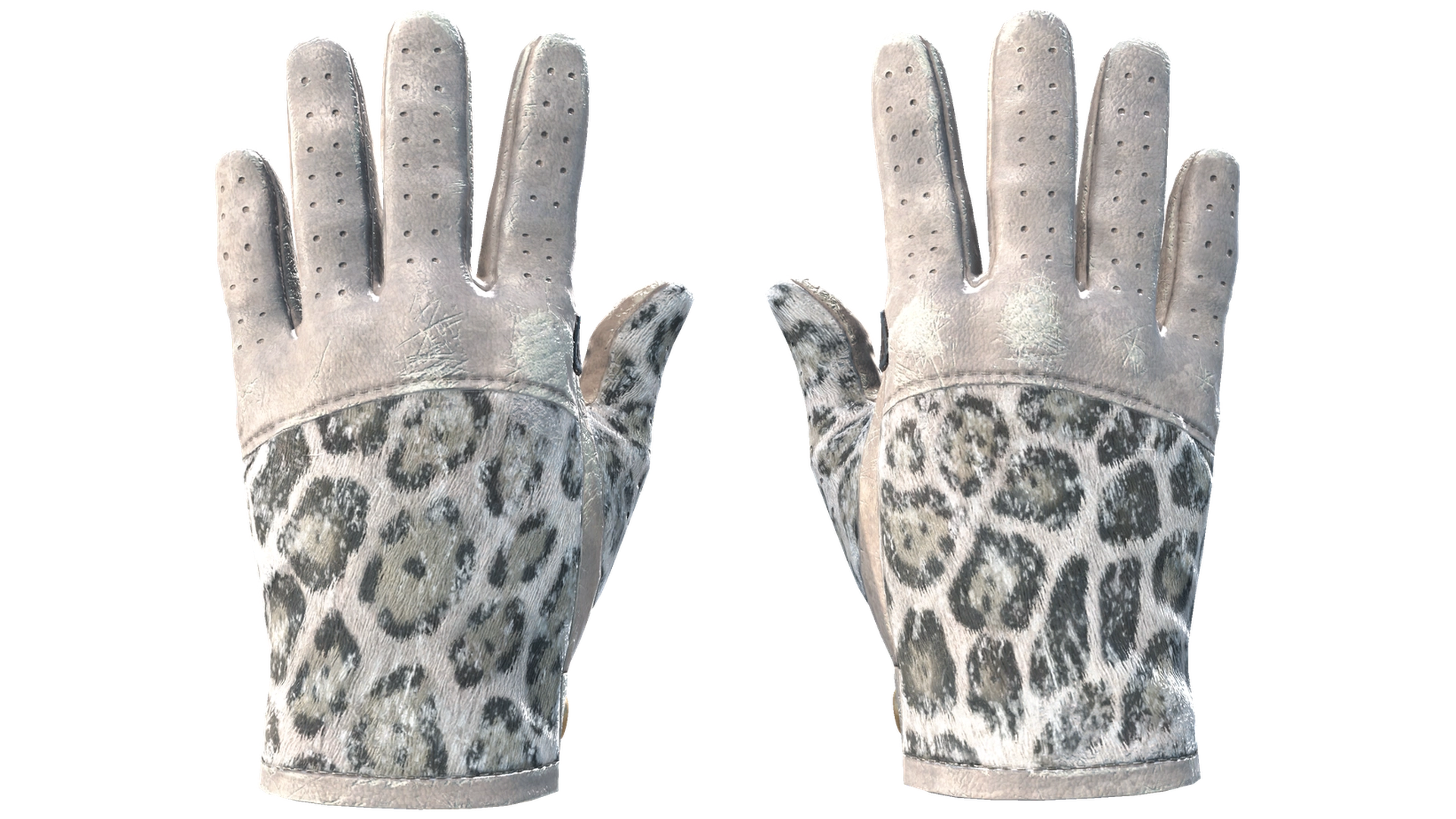 Snow Leopard image