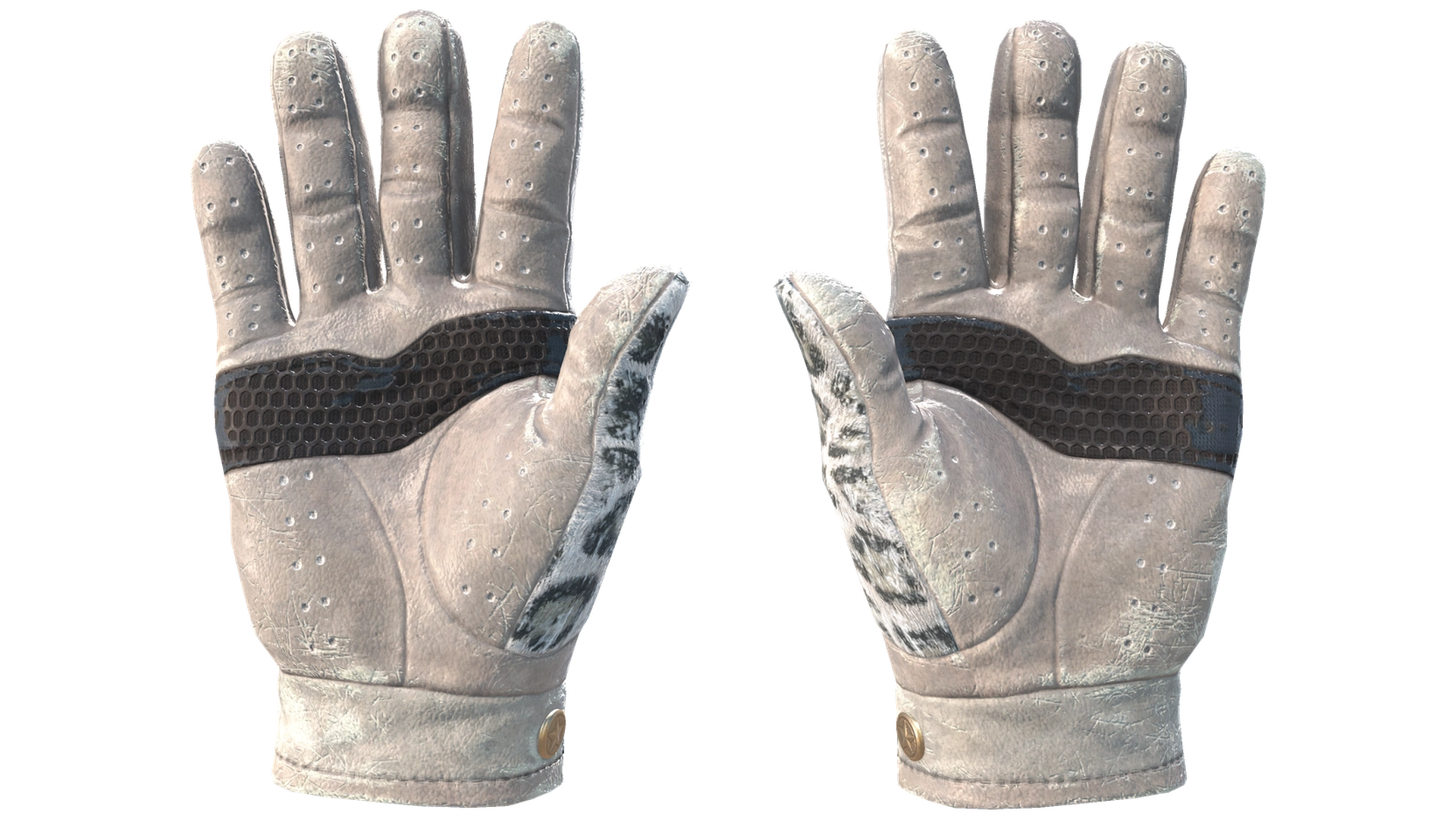 Snow Leopard image
