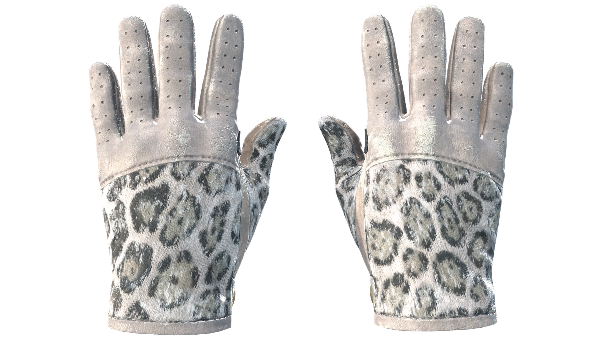 Snow Leopard image