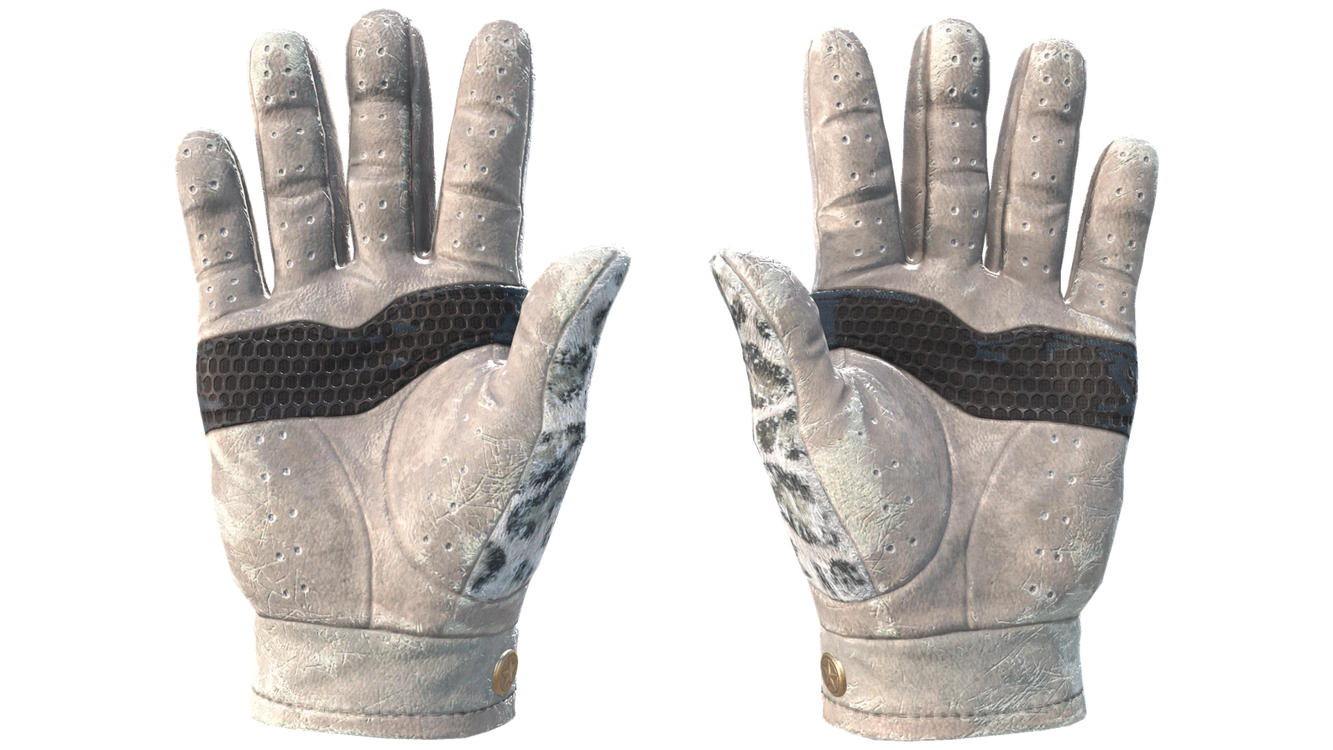 Snow Leopard image