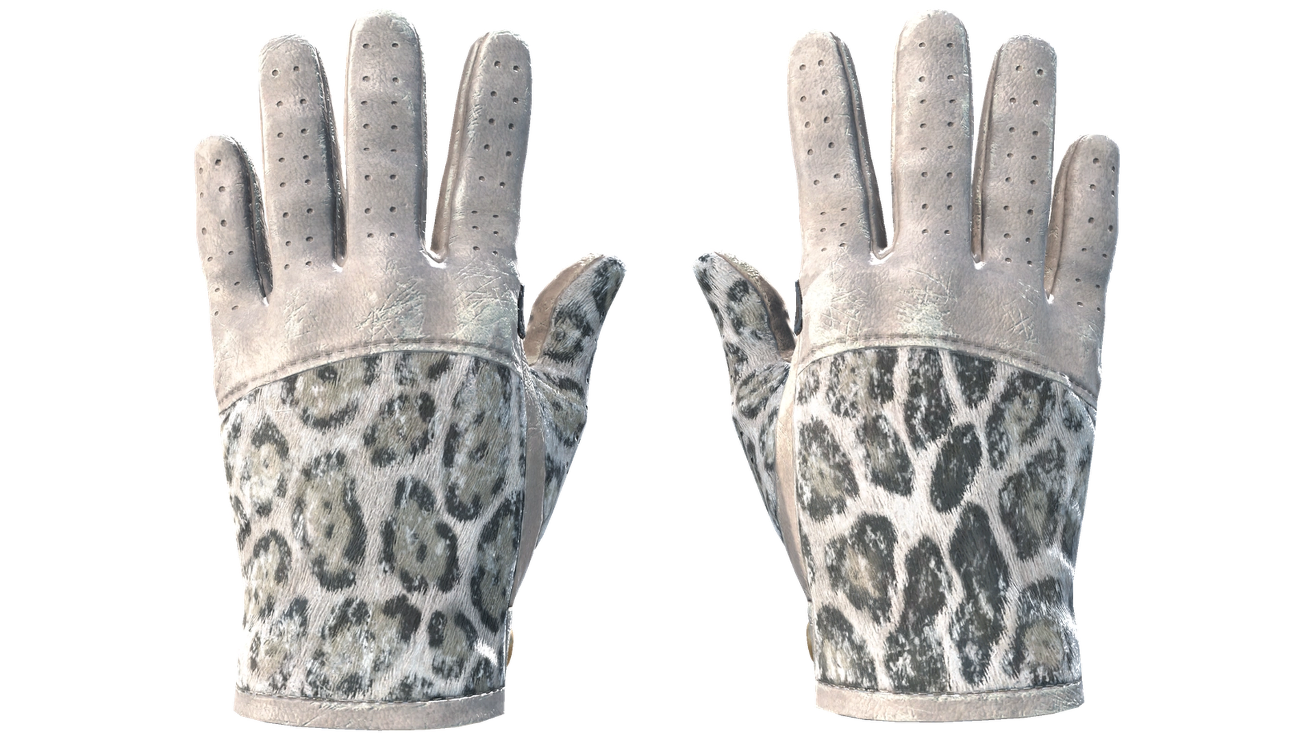 Snow Leopard image