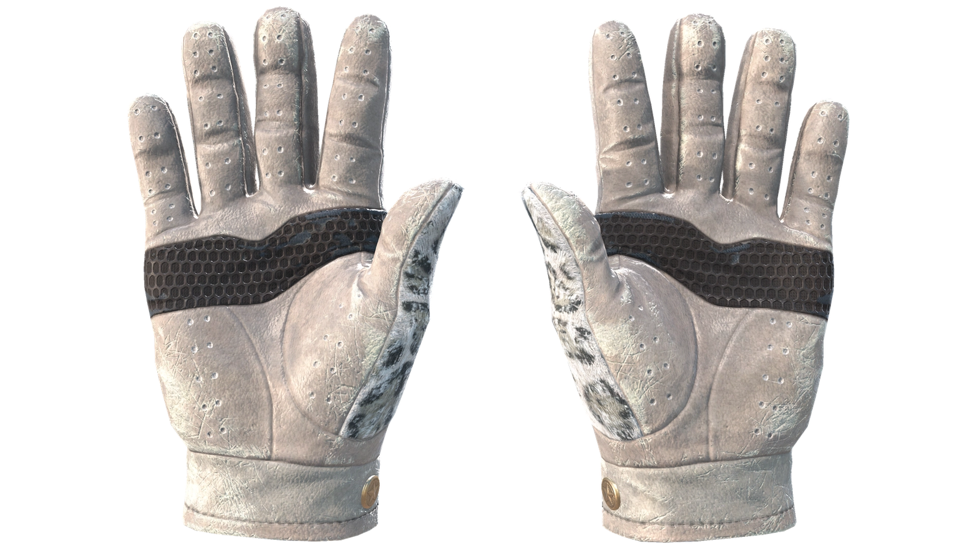Snow Leopard image