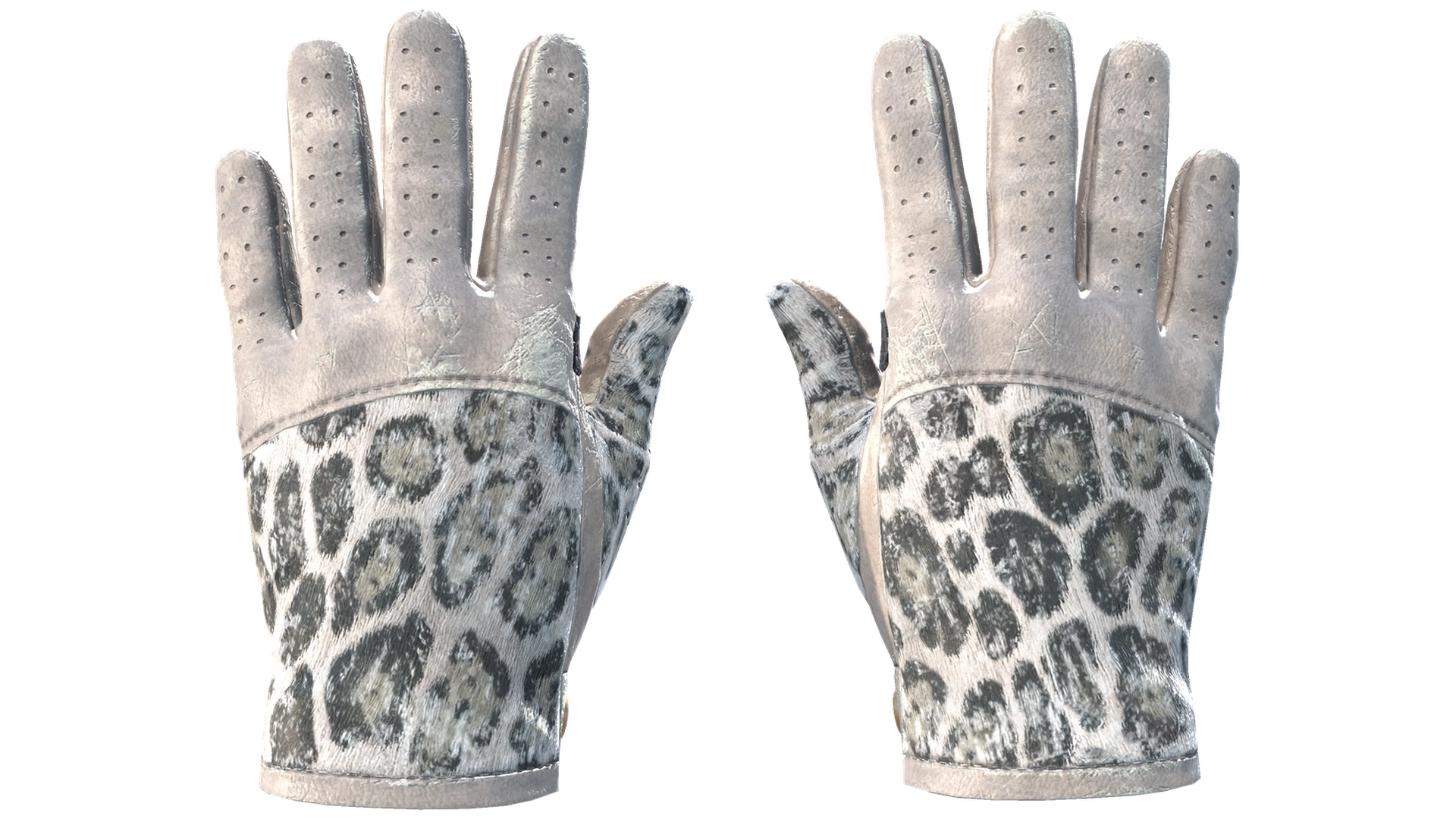Snow Leopard image