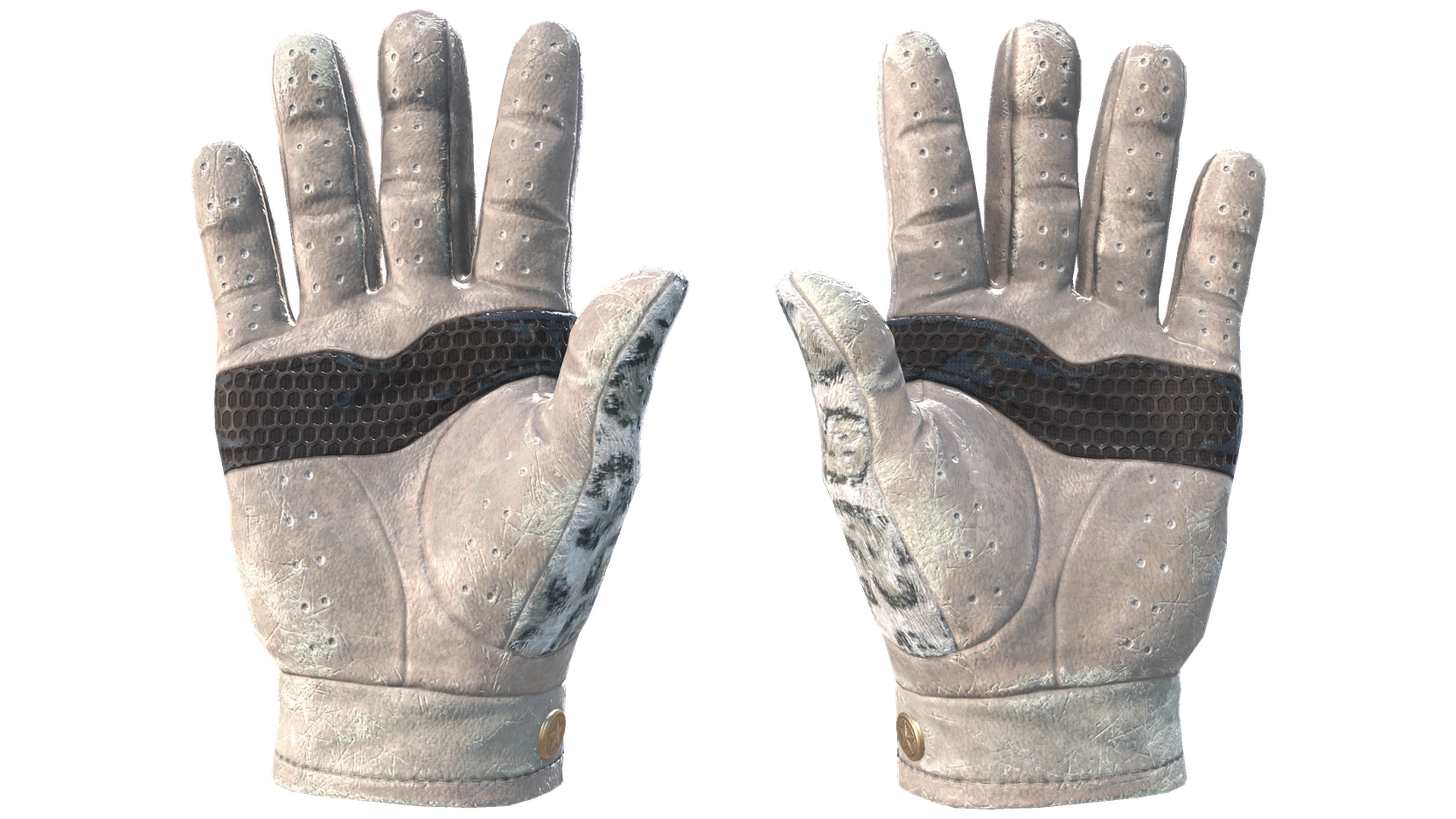 Snow Leopard image