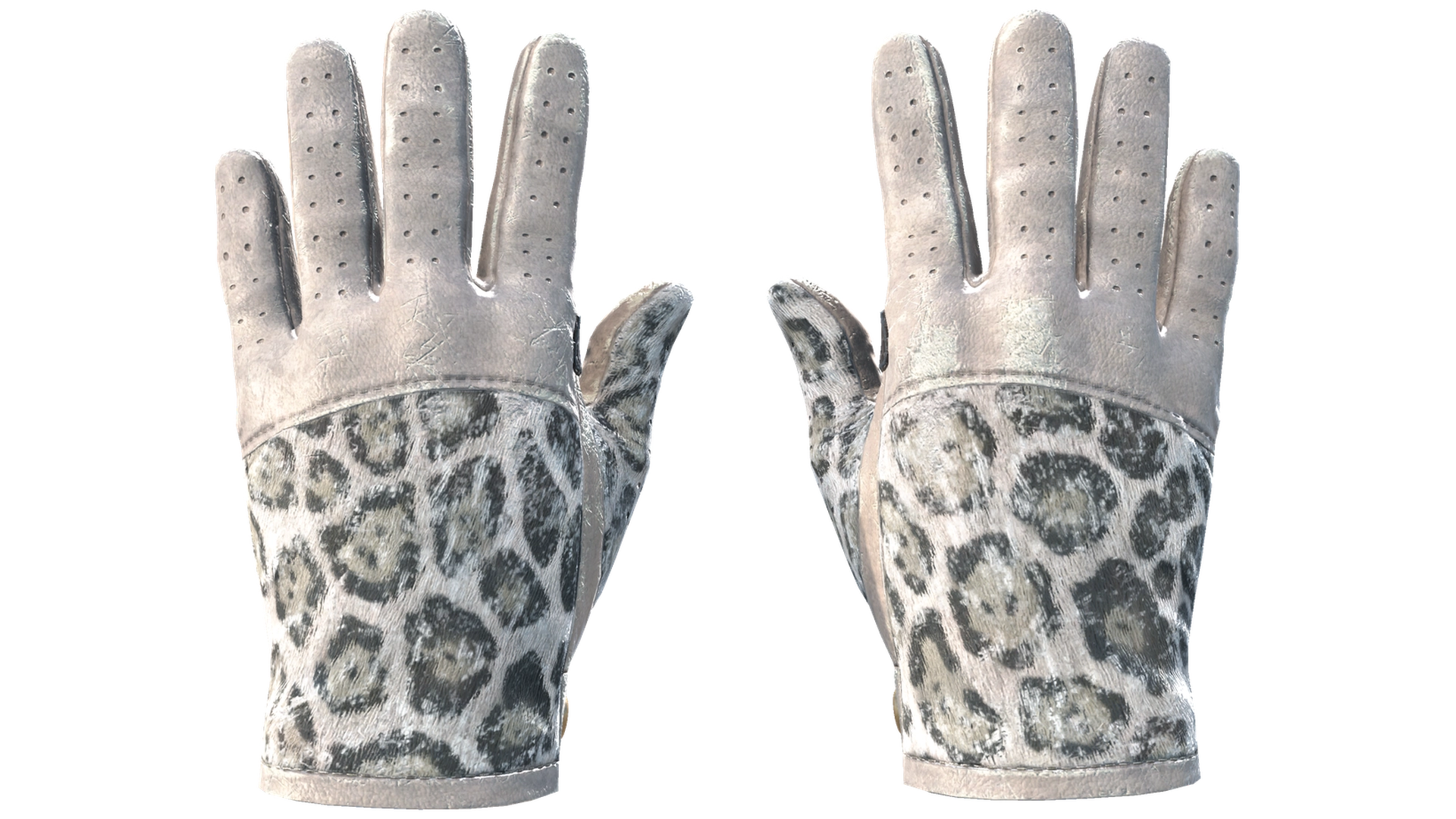 Snow Leopard image
