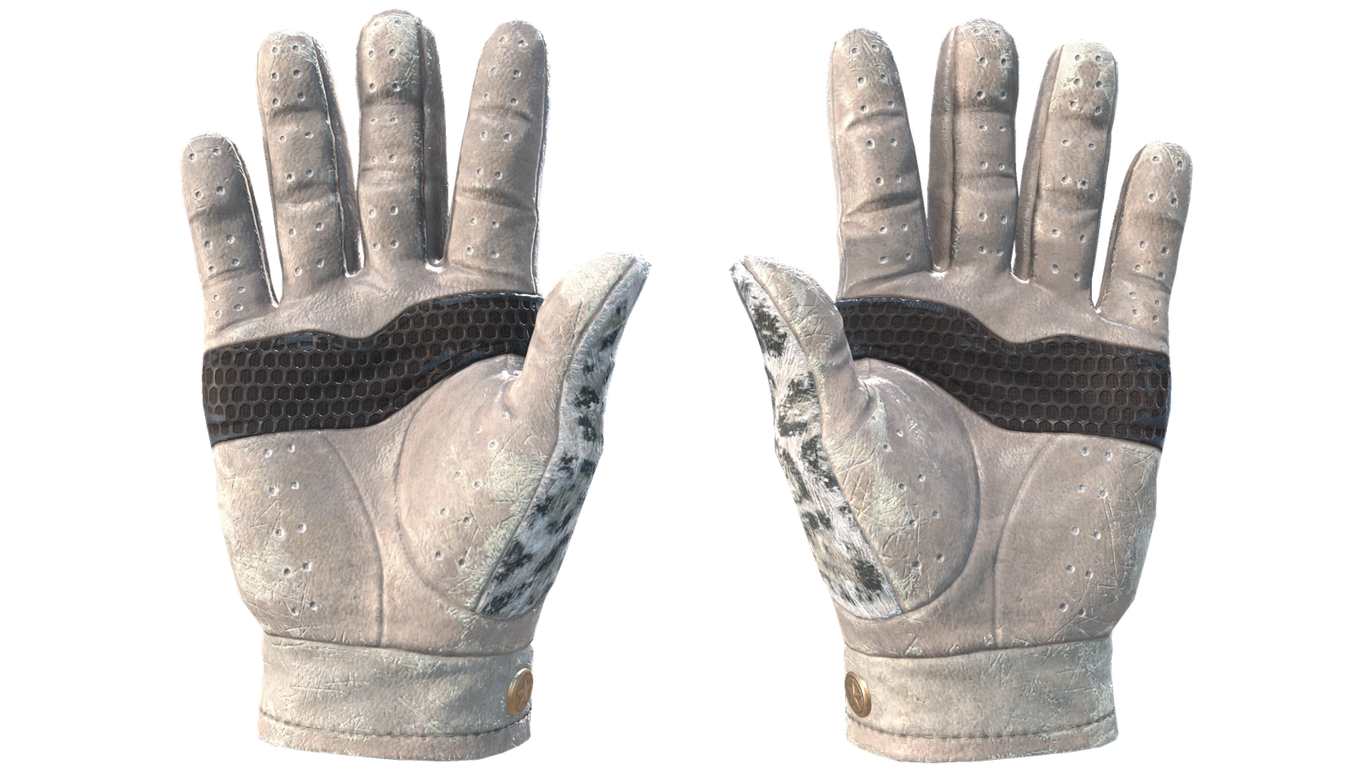 Snow Leopard image