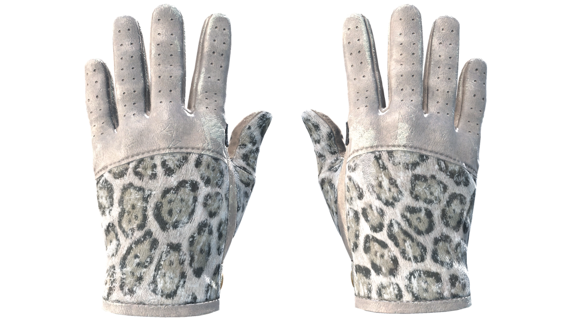 Snow Leopard image