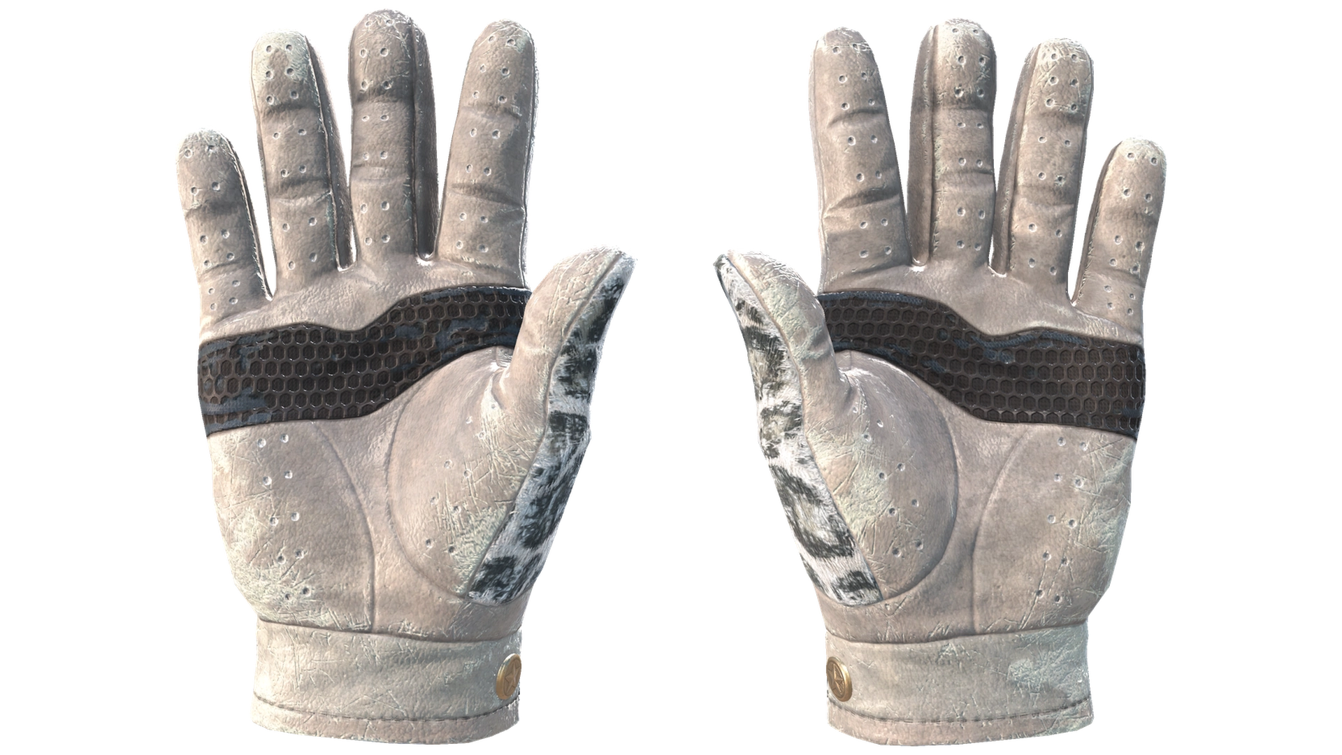 Snow Leopard image