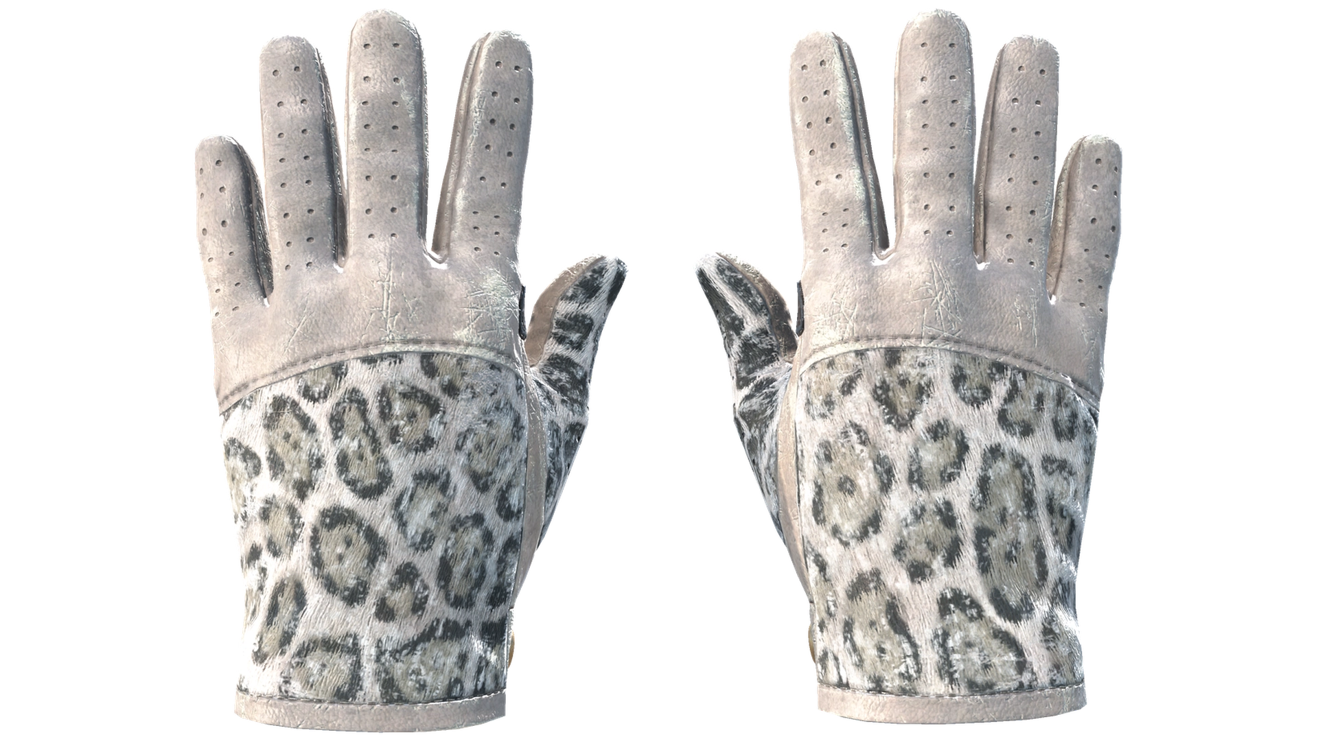Snow Leopard image