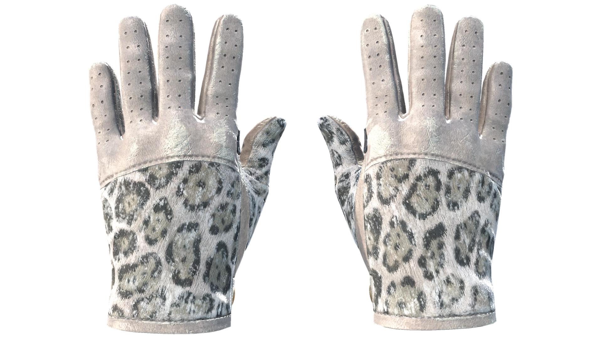 Snow Leopard image