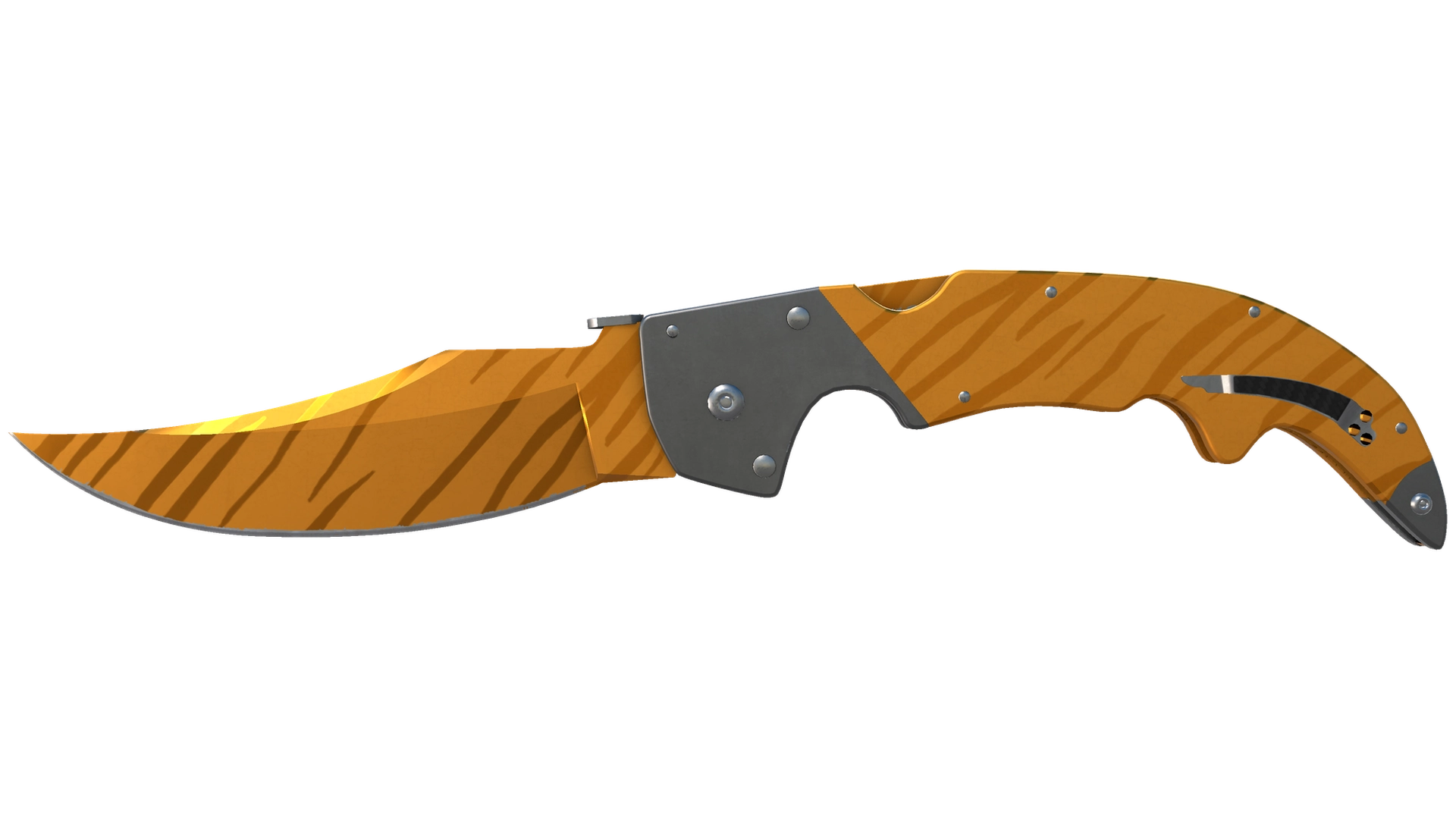 Tiger Tooth image