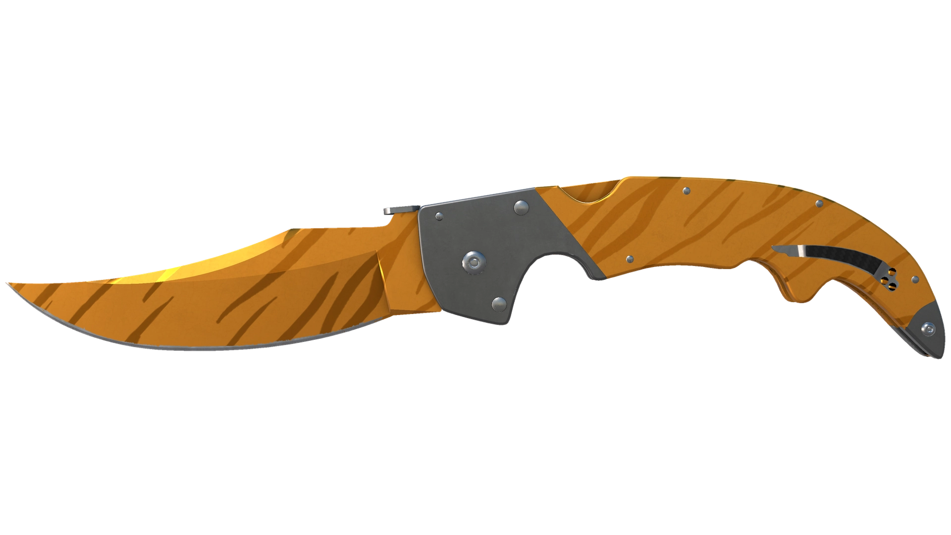 Tiger Tooth image