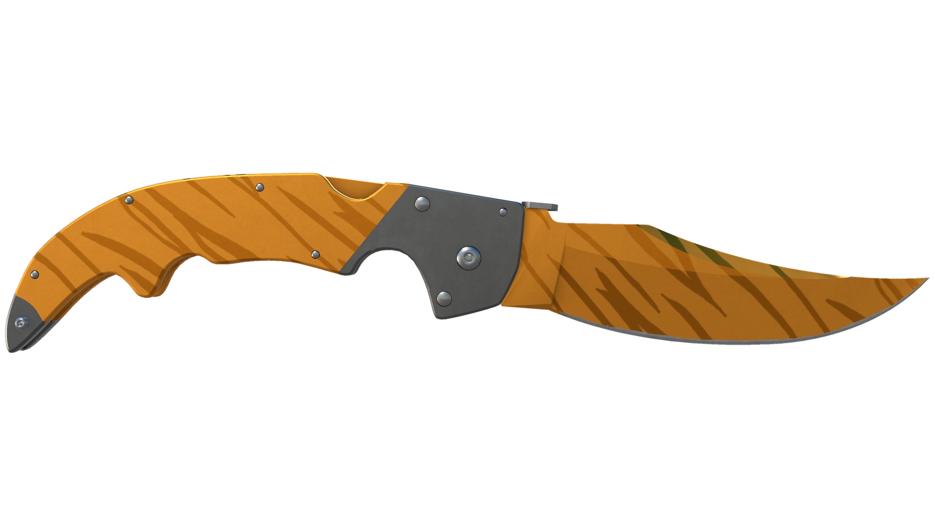 Tiger Tooth image