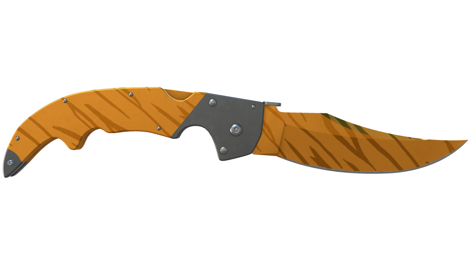 Tiger Tooth image