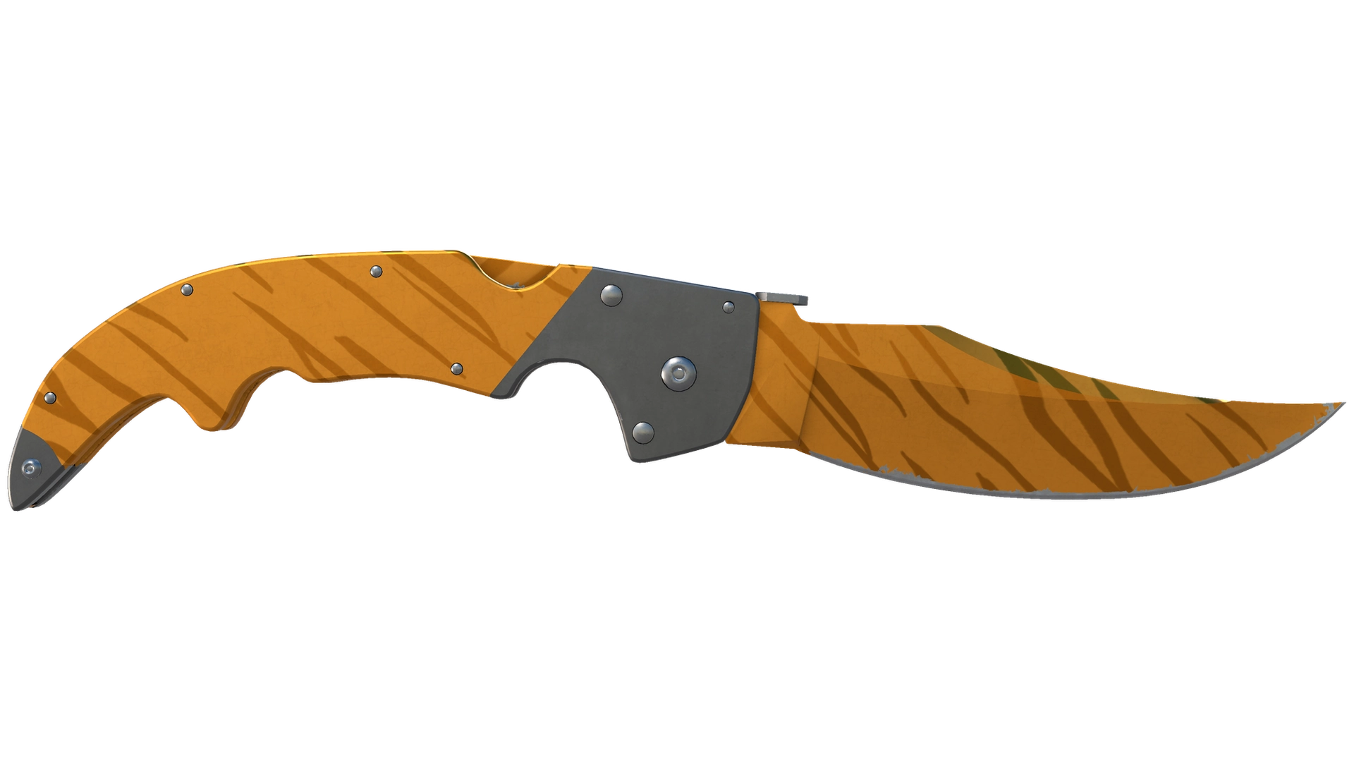 Tiger Tooth image