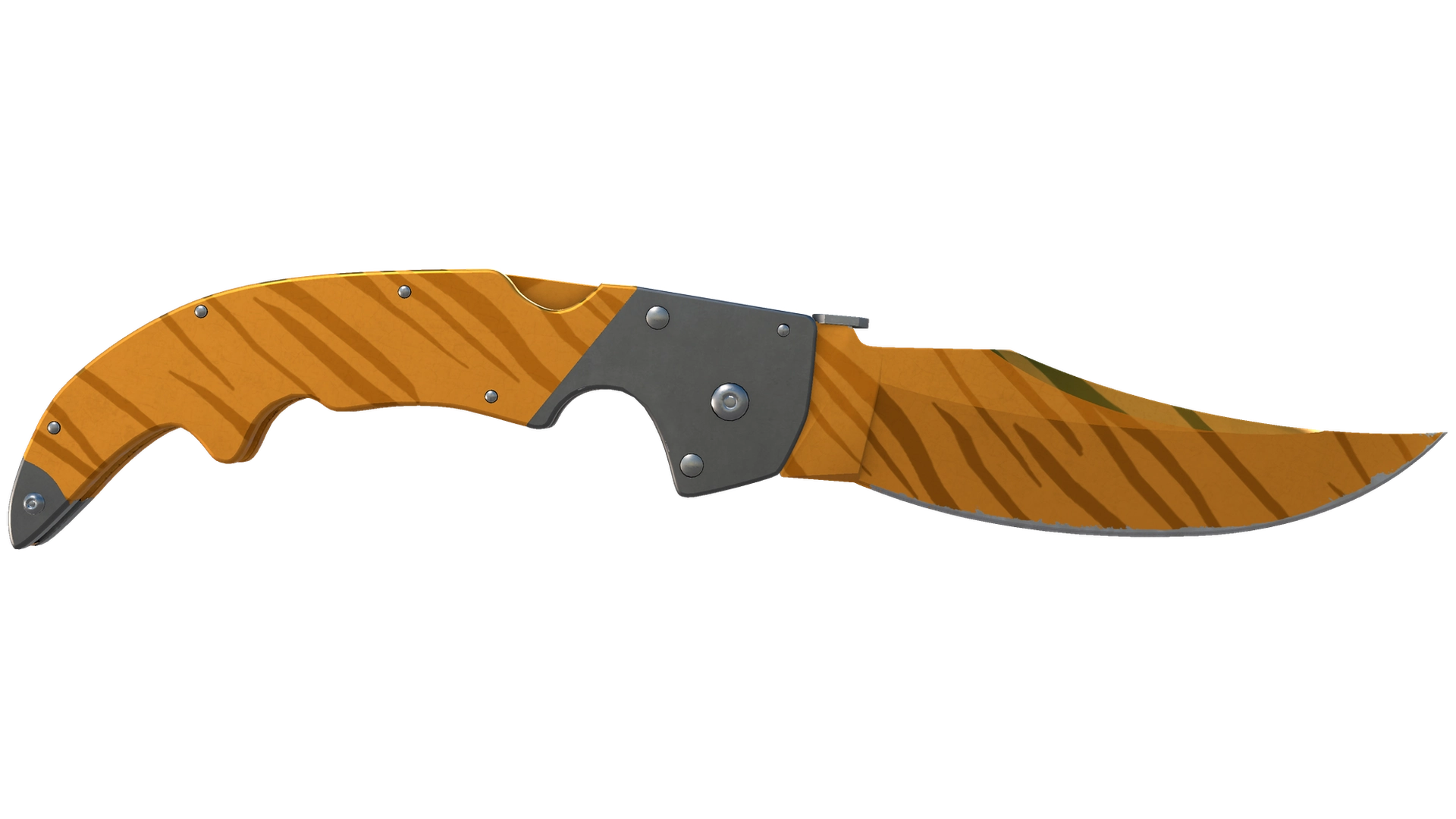 Tiger Tooth image
