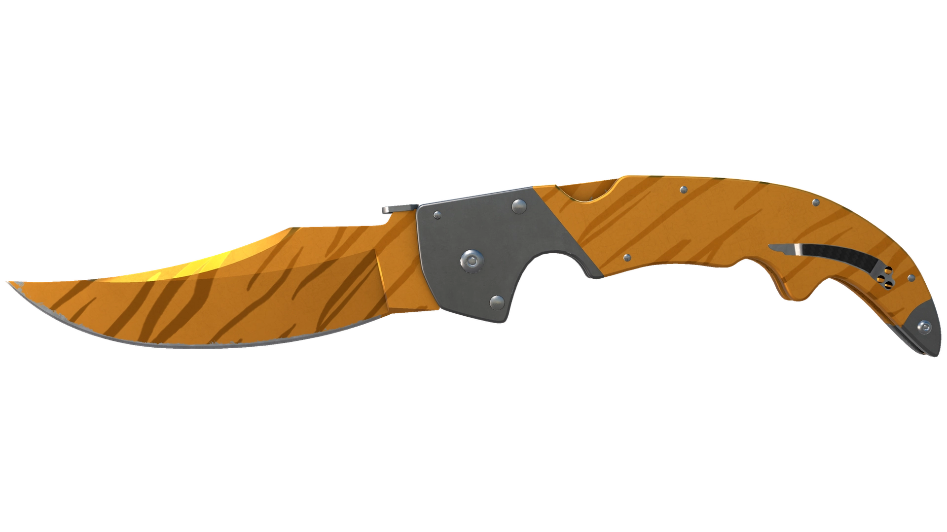 Tiger Tooth image