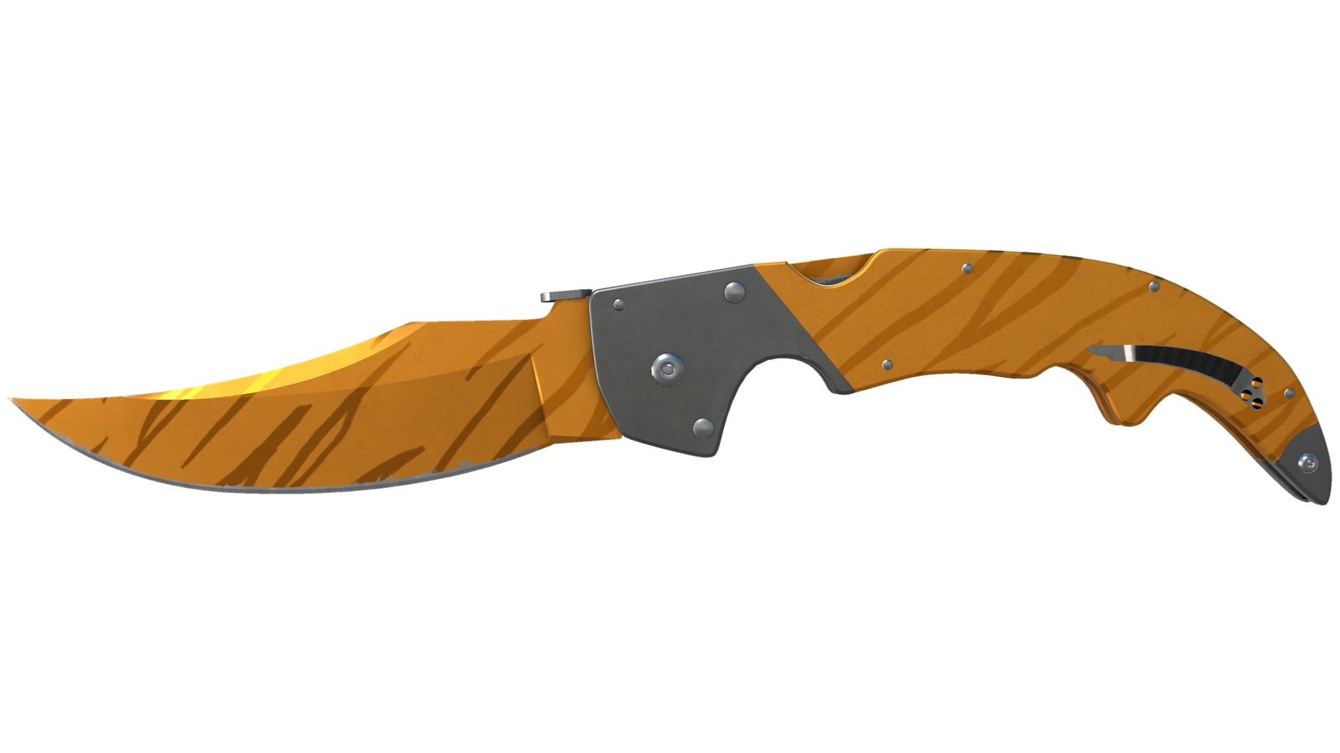 Tiger Tooth image