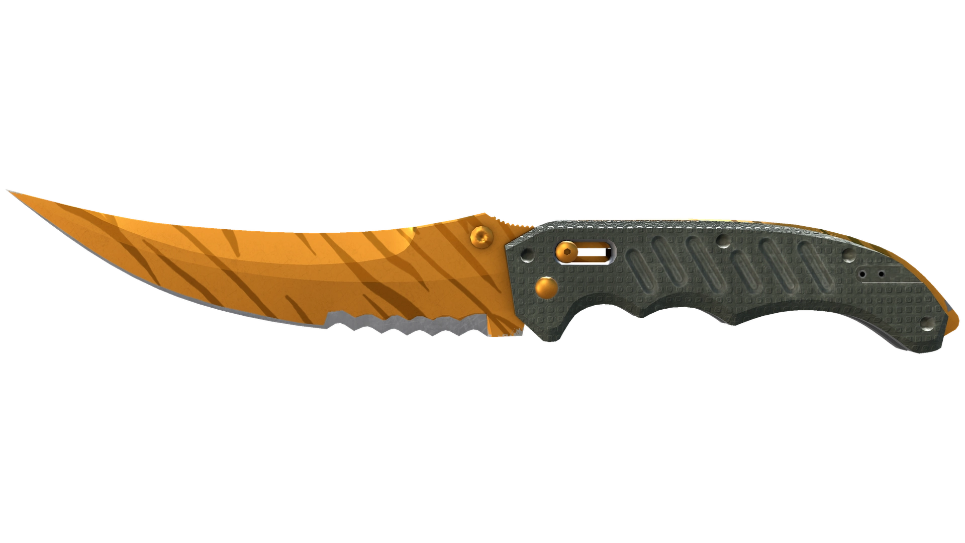 Tiger Tooth image