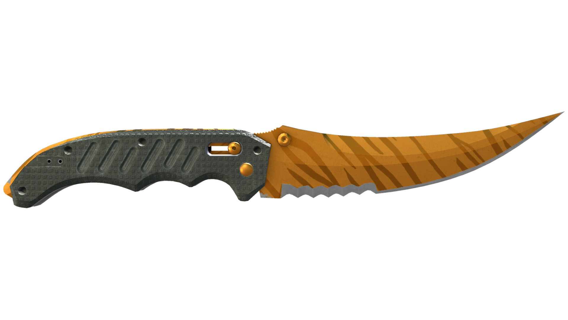 Tiger Tooth image