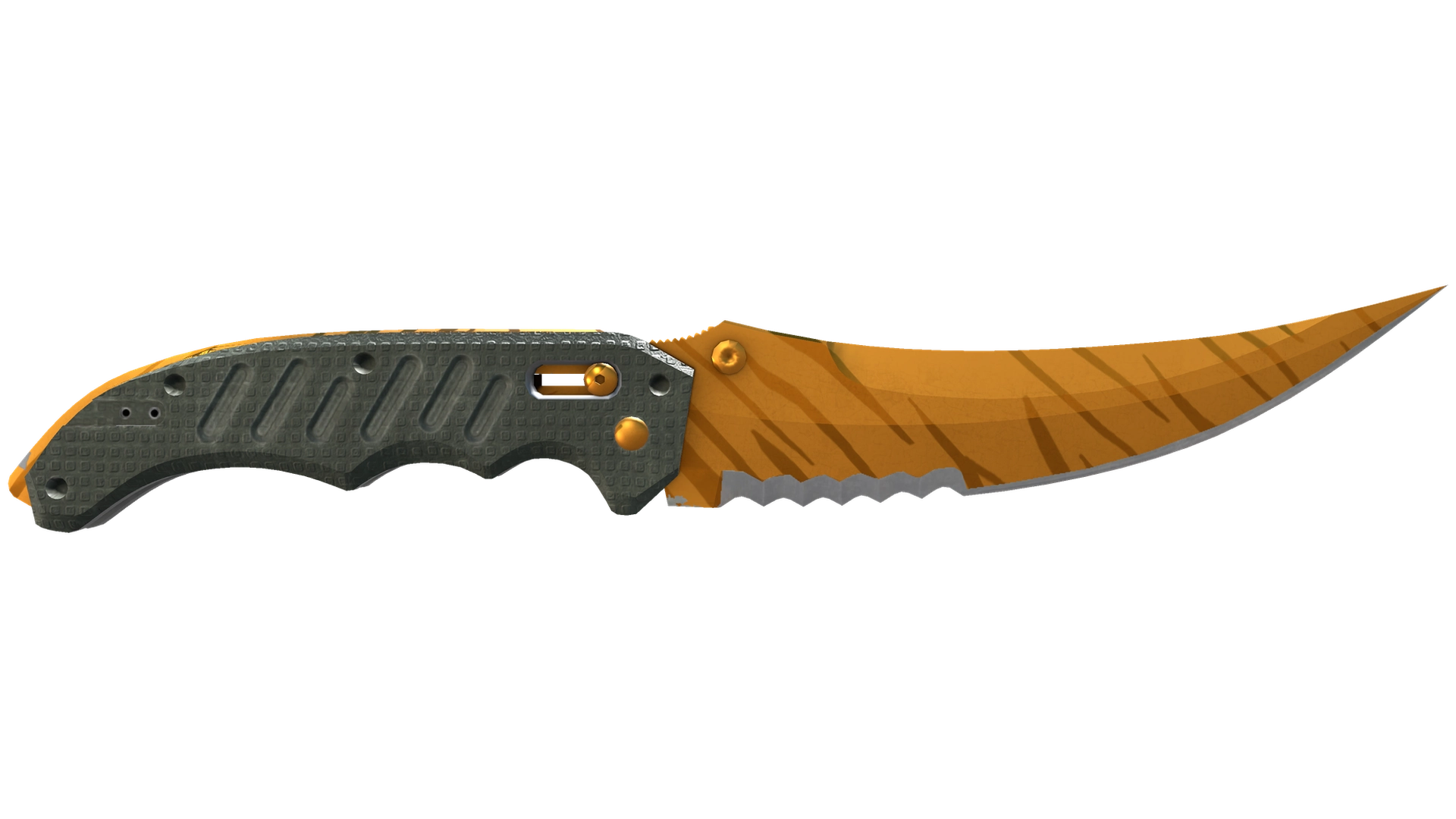 Tiger Tooth image