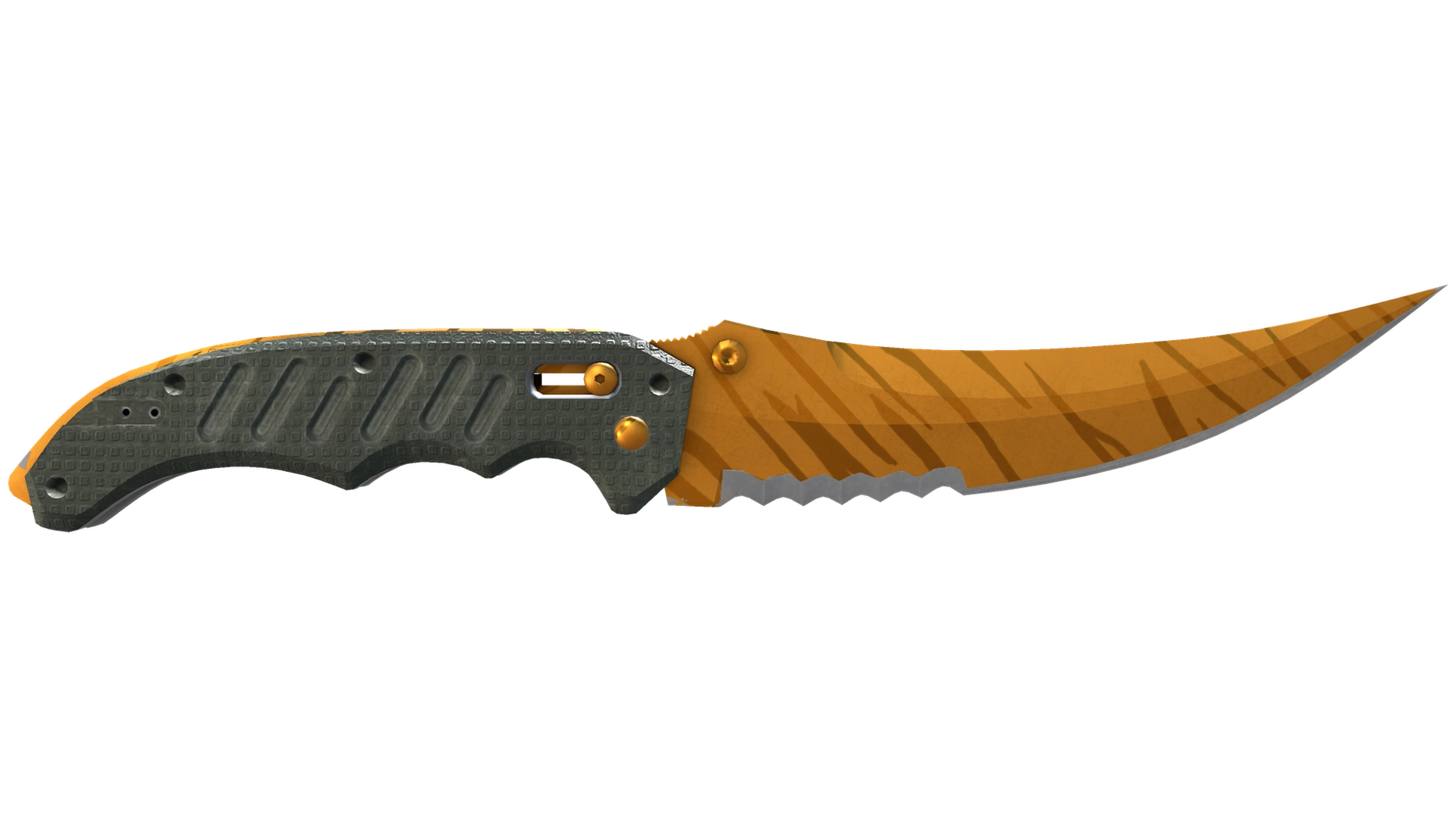 Tiger Tooth image