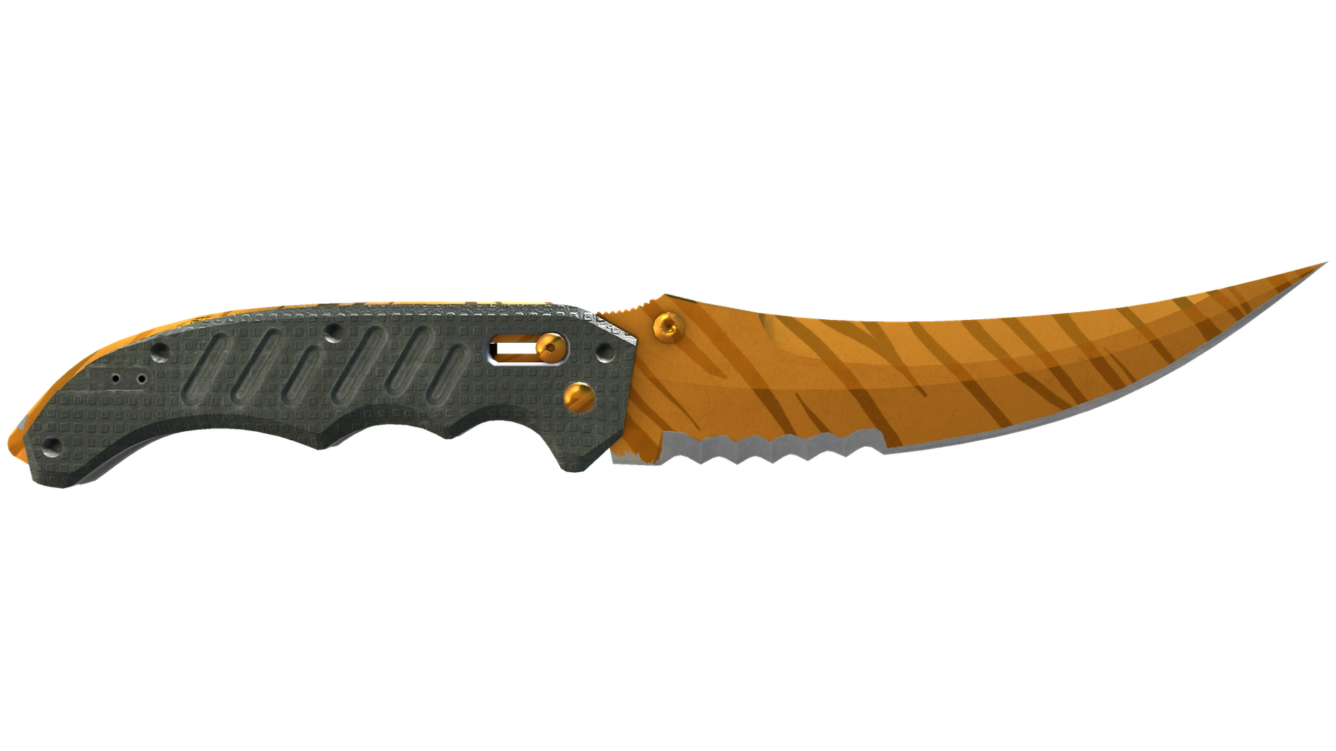 Tiger Tooth image