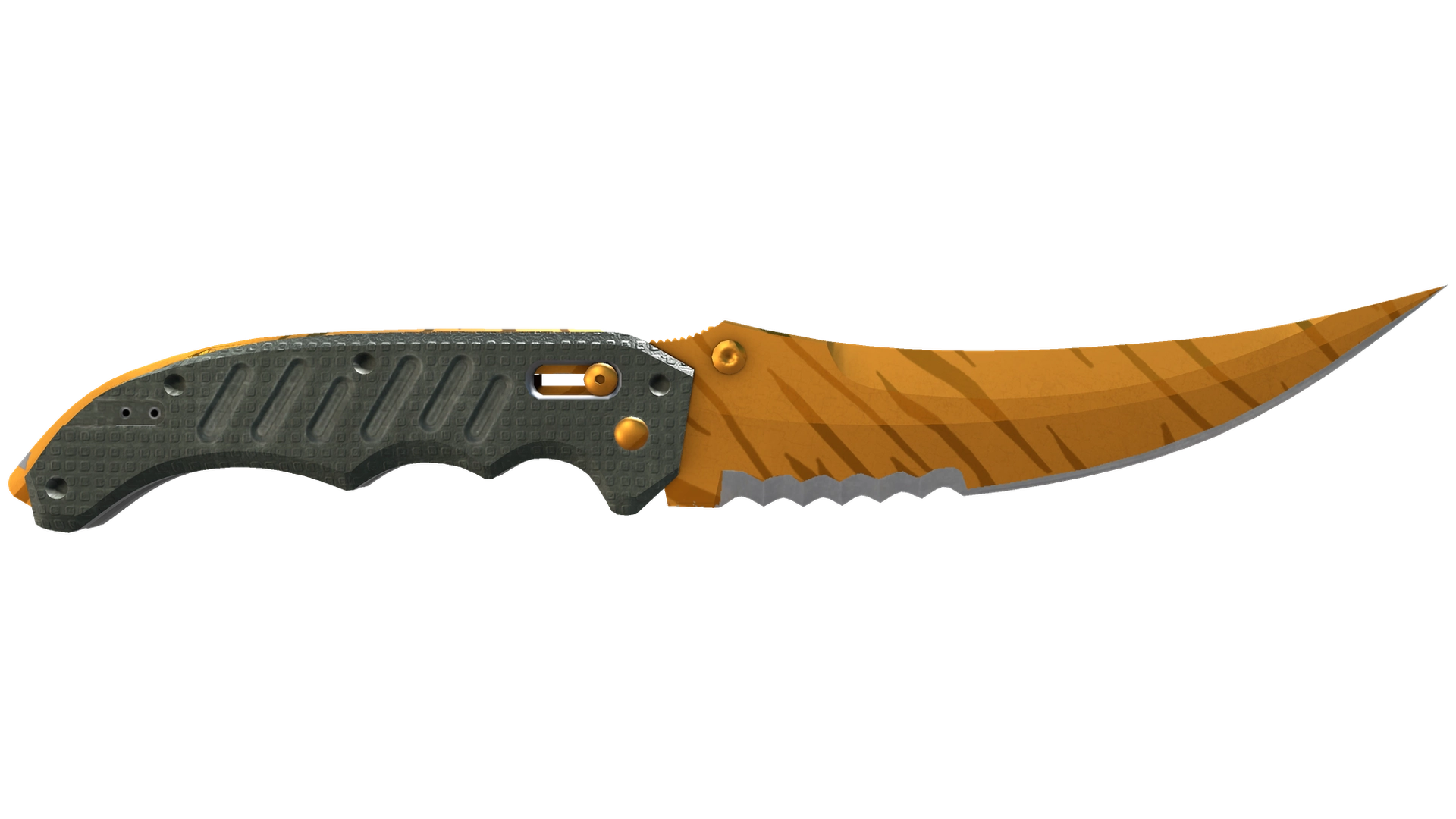 Tiger Tooth image