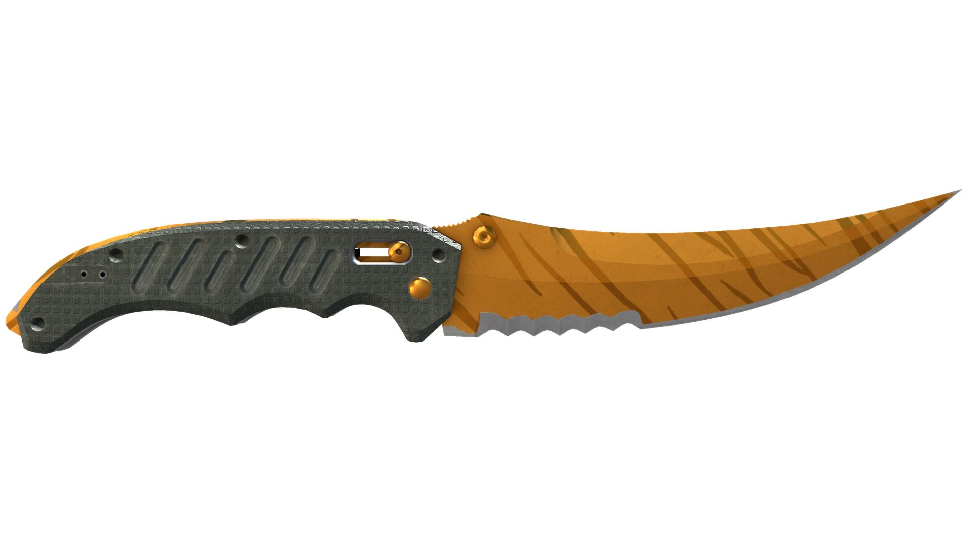 Tiger Tooth image