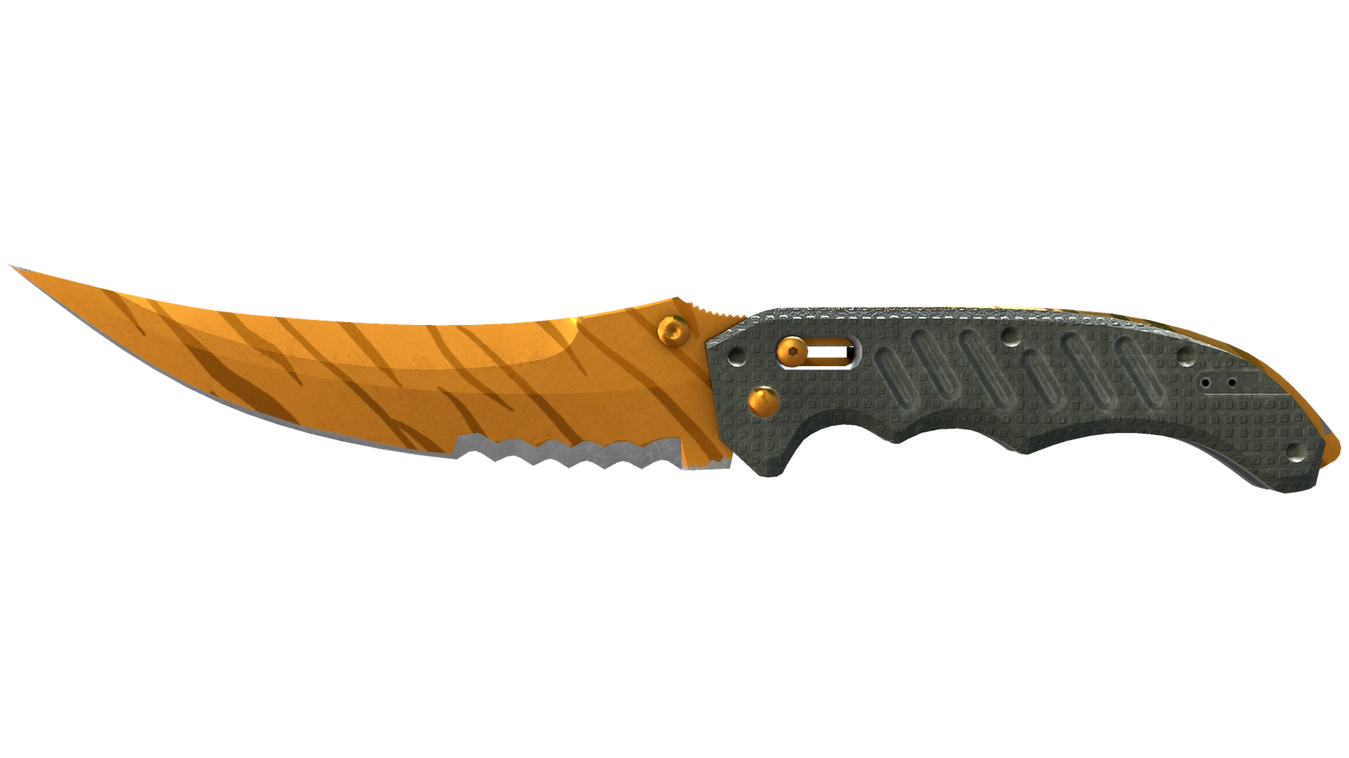 Tiger Tooth image